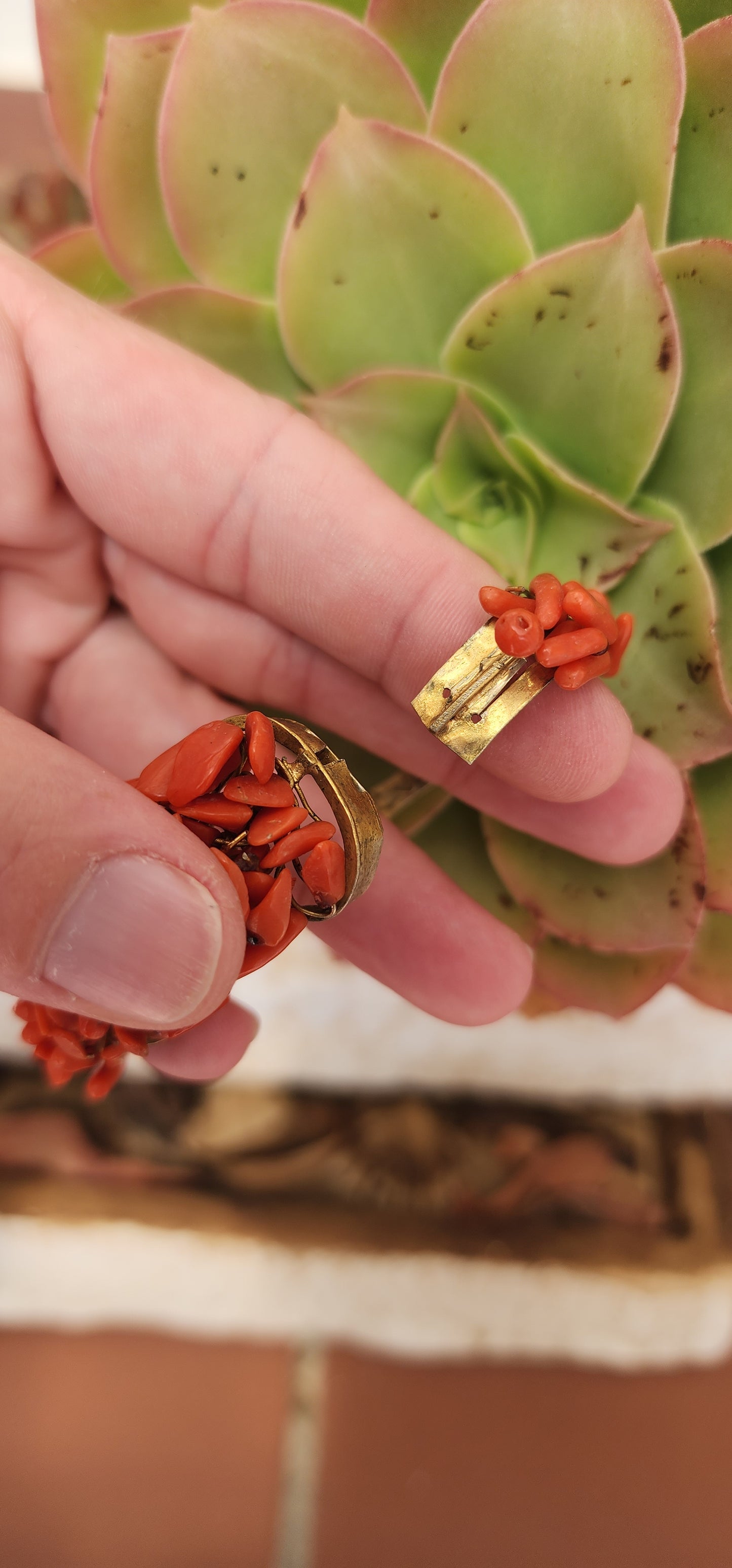 Antique Italian made late 19th century Red coral bracelet .Decorated with Sciacca Coral fruits and leaves elements on an Gold Gilt Metal mounting.