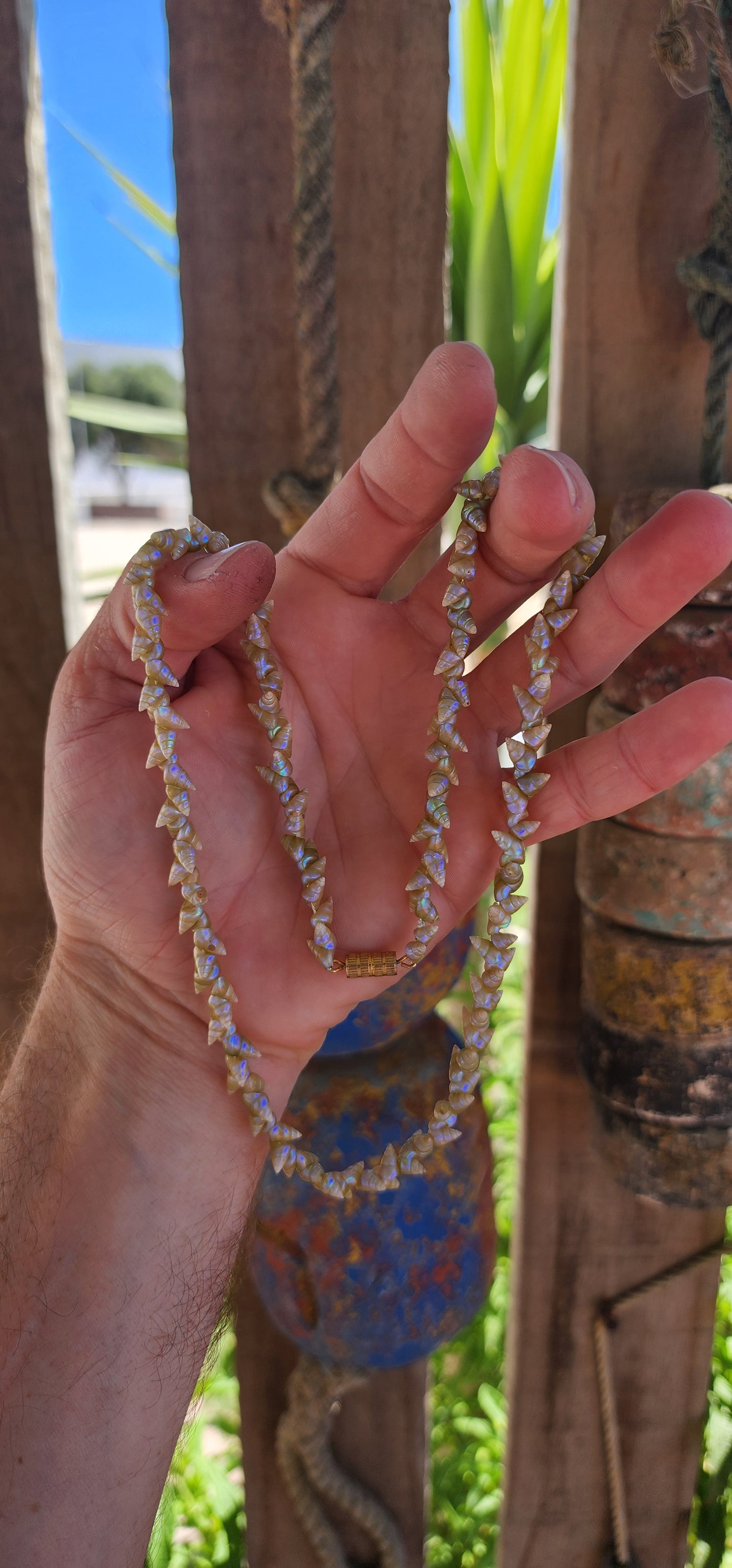 RARE!!This antique extra-length Aboriginal Tasmanian Maireener shell necklace is a remarkable and historically significant piece of cultural heritage.