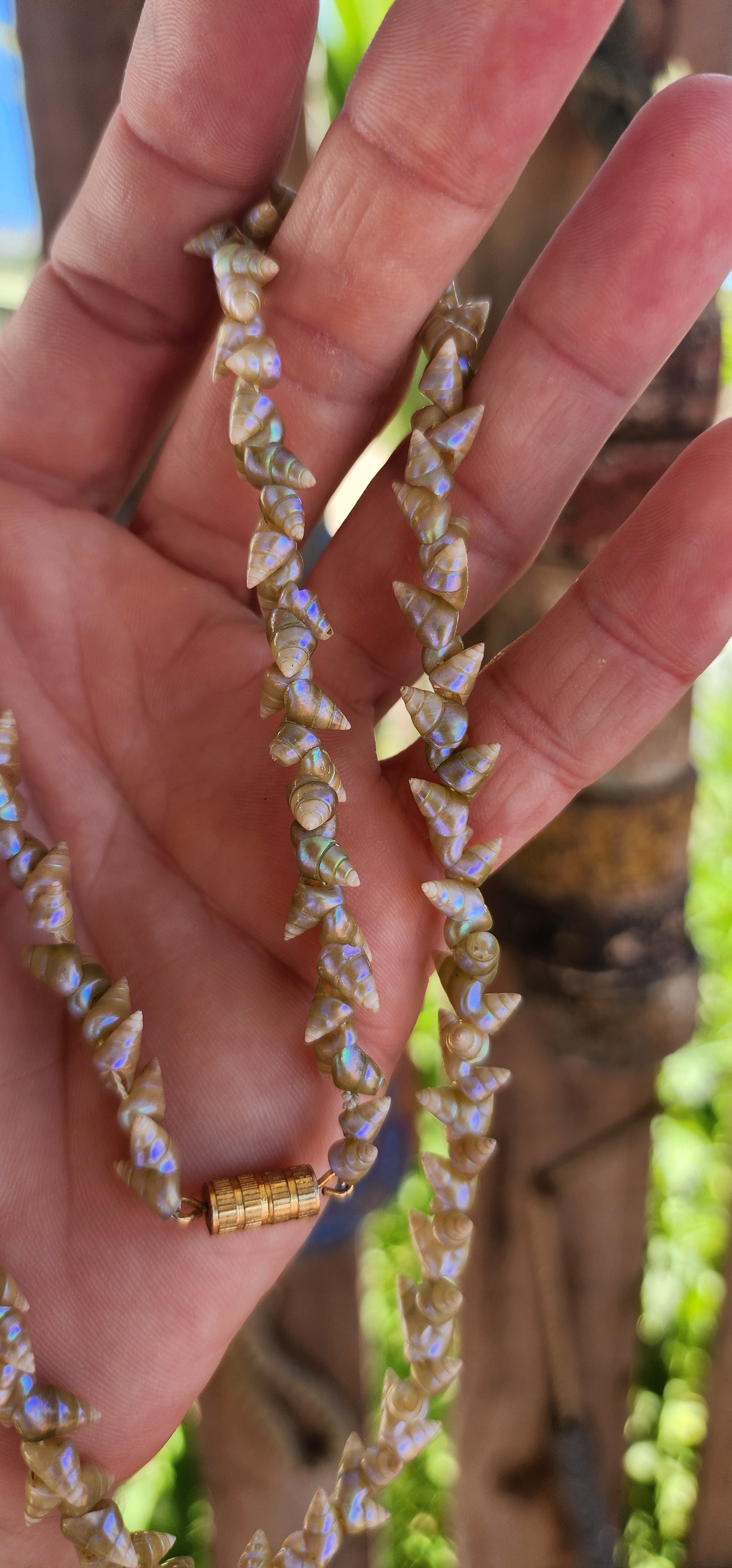 RARE!!This antique extra-length Aboriginal Tasmanian Maireener shell necklace is a remarkable and historically significant piece of cultural heritage.