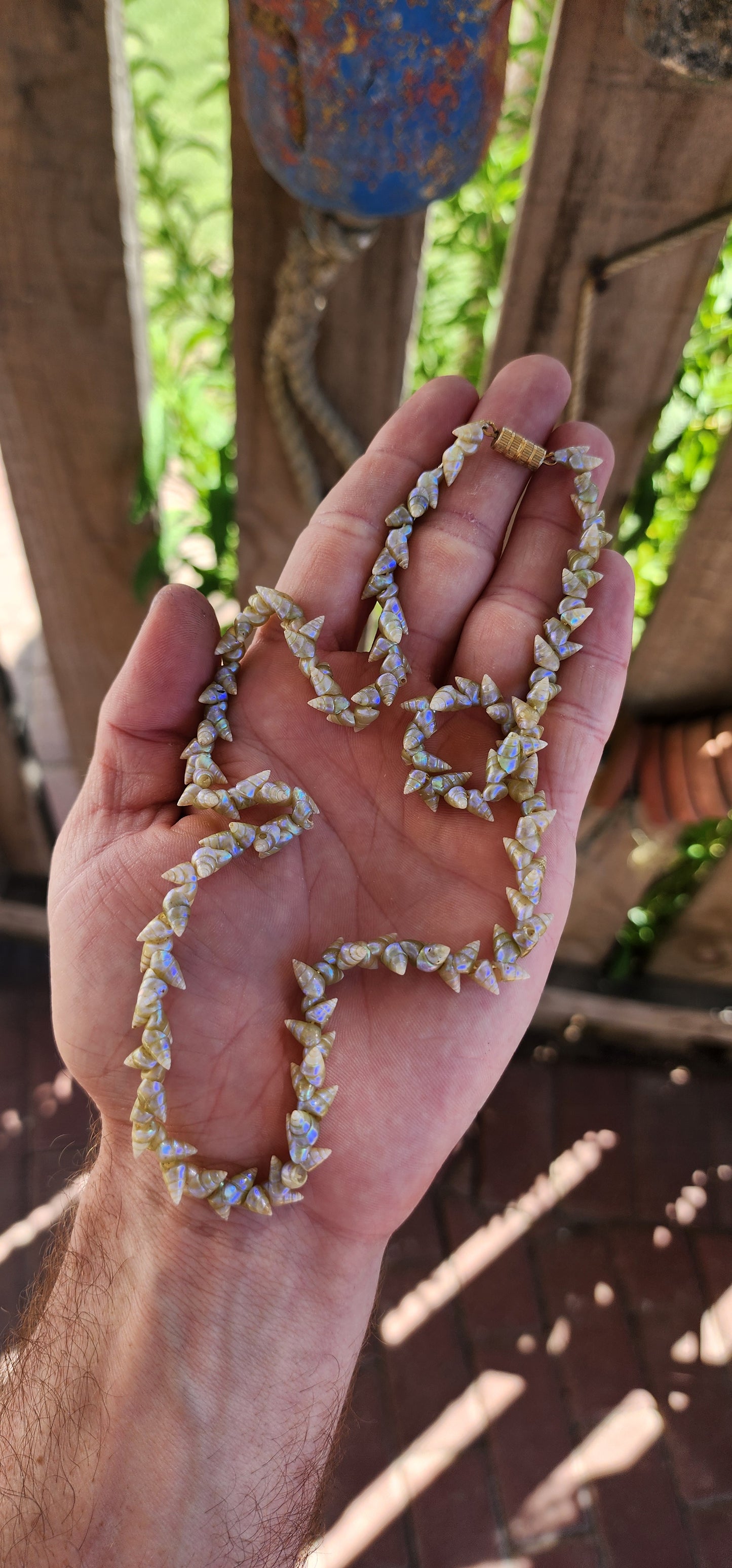 RARE!!This antique extra-length Aboriginal Tasmanian Maireener shell necklace is a remarkable and historically significant piece of cultural heritage.