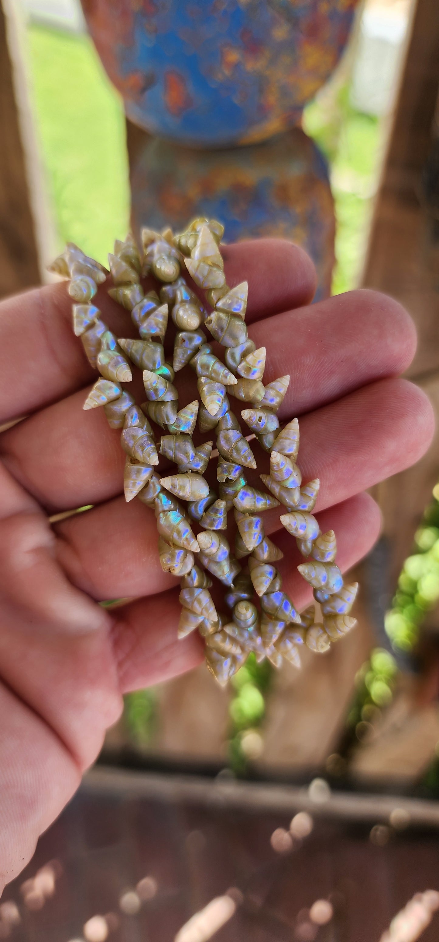 RARE!!This antique extra-length Aboriginal Tasmanian Maireener shell necklace is a remarkable and historically significant piece of cultural heritage.