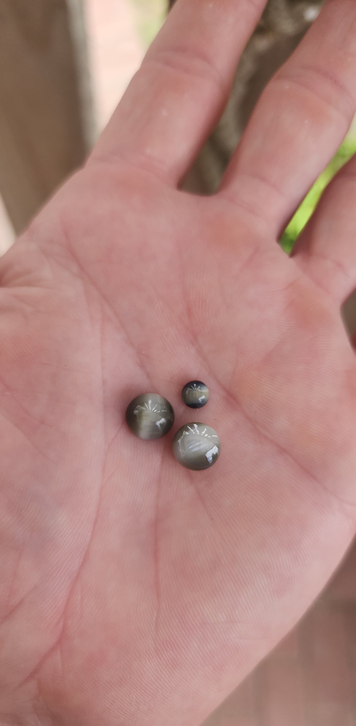 These three loose gemstones are cat's eye quartz cabochons, displaying the characteristic chatoyancy effect—a luminous band of light that moves across the surface when the stone is turned.
