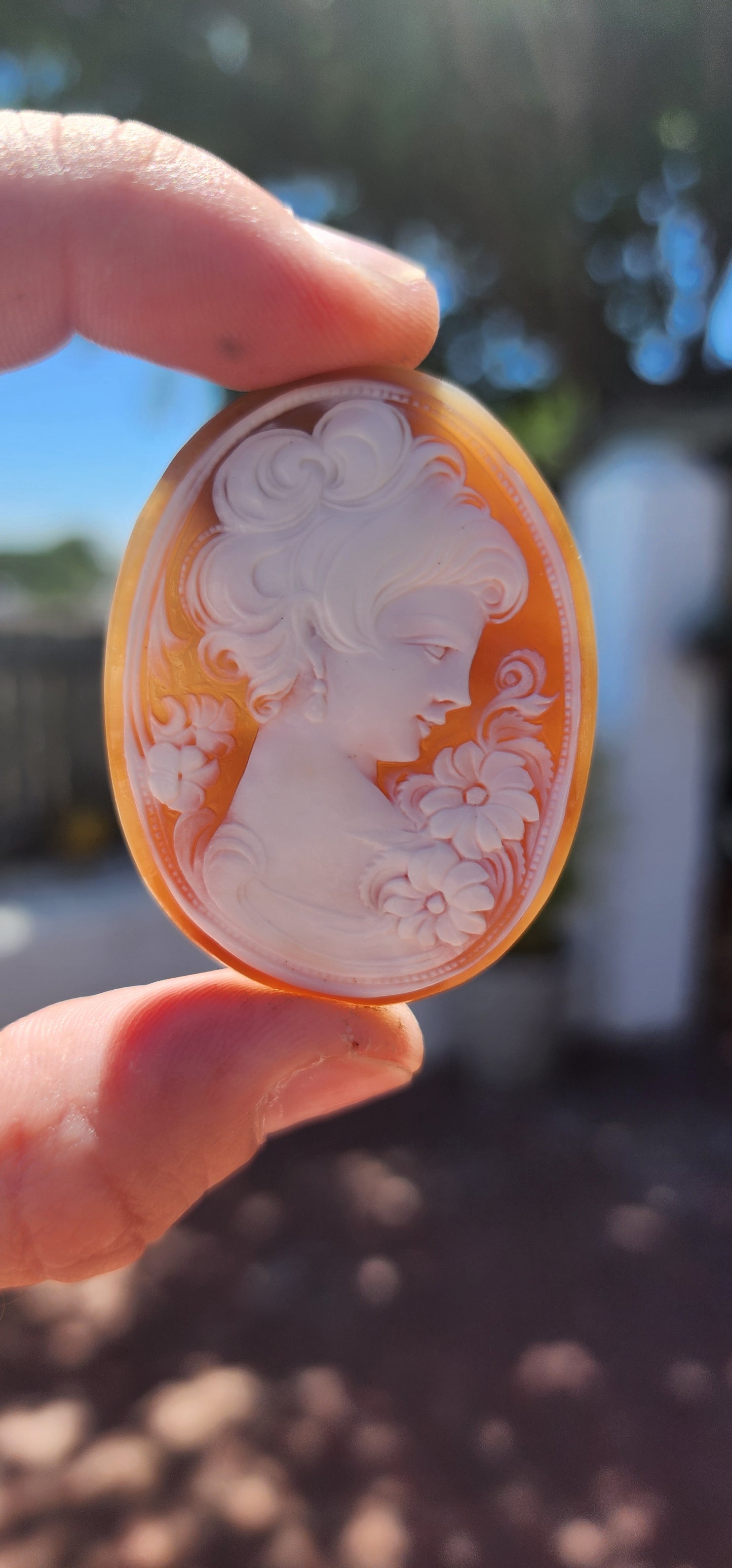 A Masterpiece in Miniature – An Exquisite Hand-Carved Shell Cameo!
This magnificent oval-shaped loose cameo is a true testament to the mastery of traditional shell carving, capturing a breathtaking level of artistry and refinement.