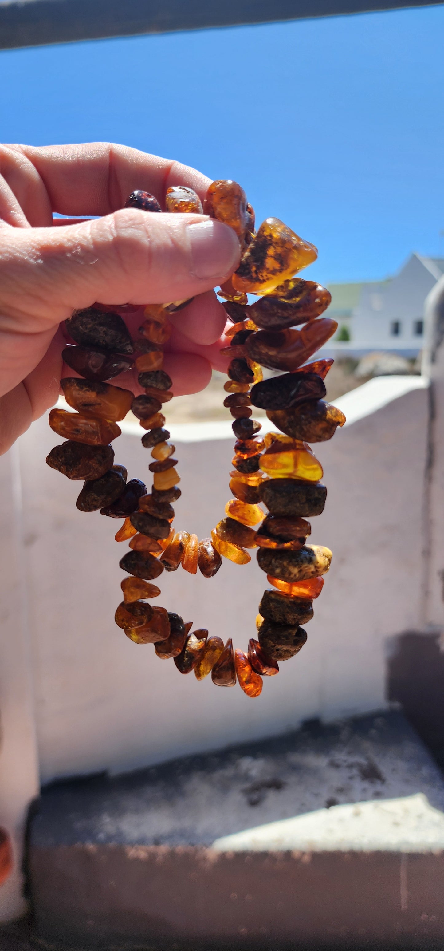 Imagine owning a relic from an age when colossal beasts roamed untamed lands, when the air thrummed with the calls of creatures long extinct, and the towering forests dripped with golden resin.