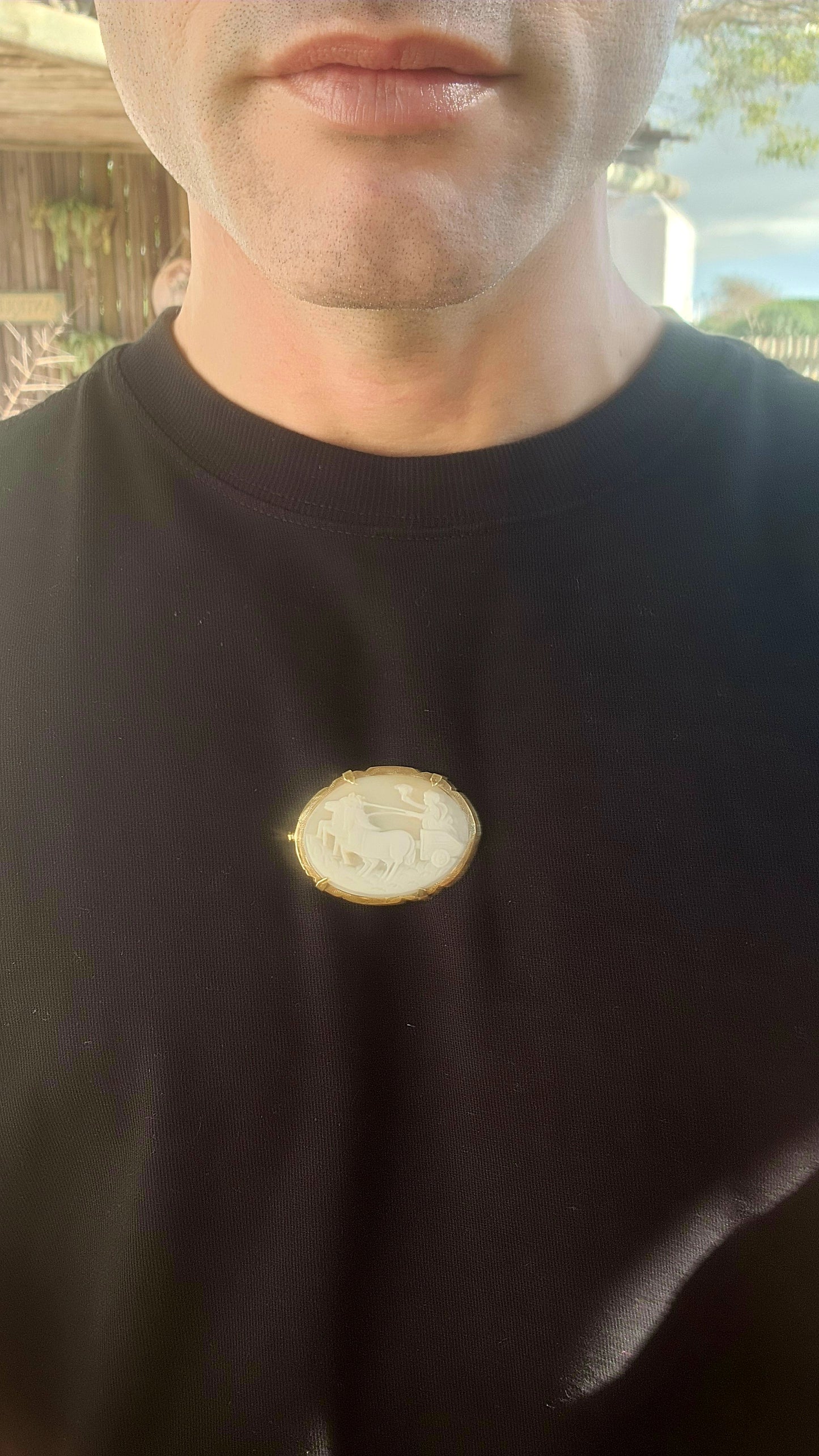 This is a generous-sized, antique late Victorian-era brooch, exquisitely crafted in warm-toned pinchbeck, a popular 19th-century alloy designed to resemble gold. Its mount cradles a beautifully hand-carved oval shell cameo.