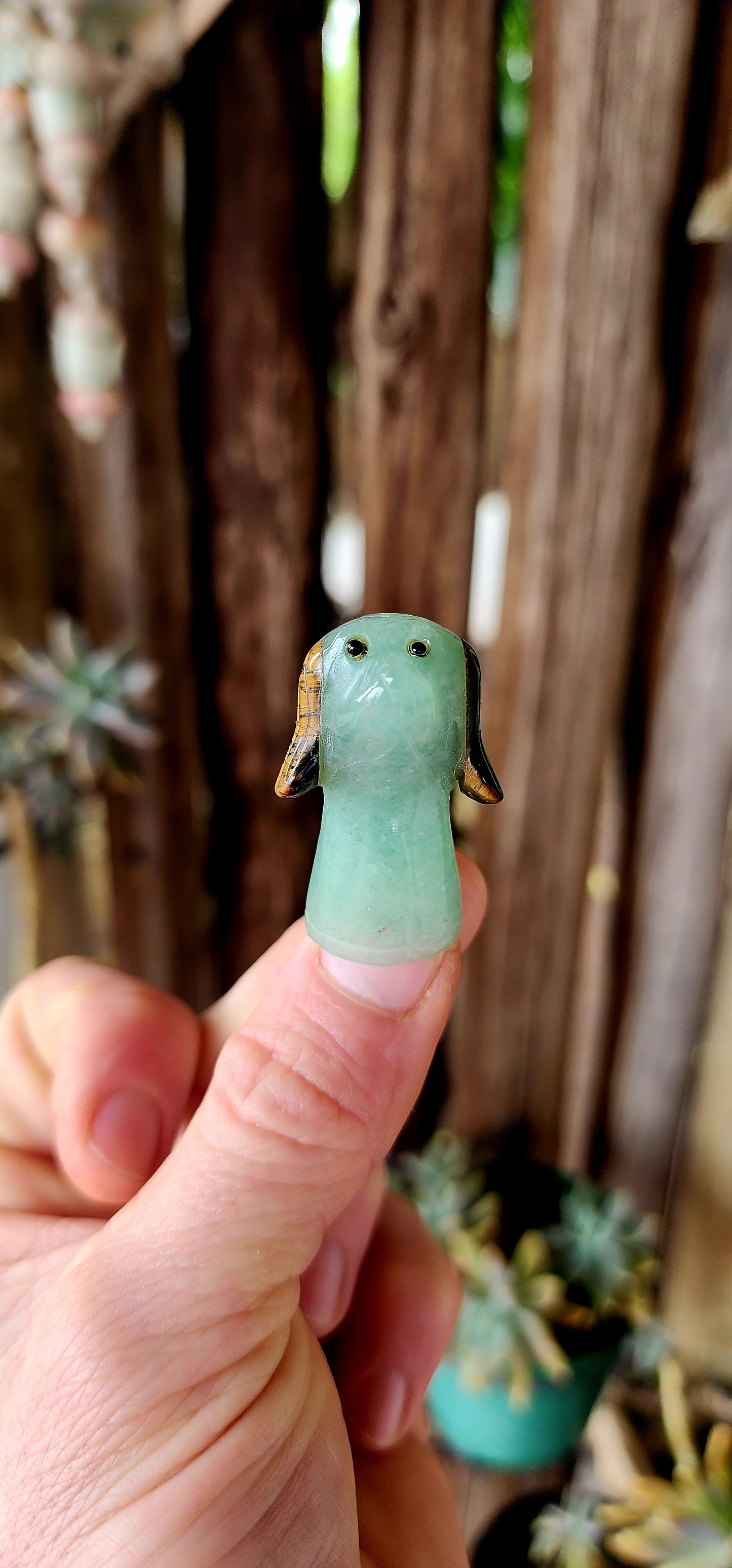 An Unusual Treasure for Your Cabinet of Curiosities.