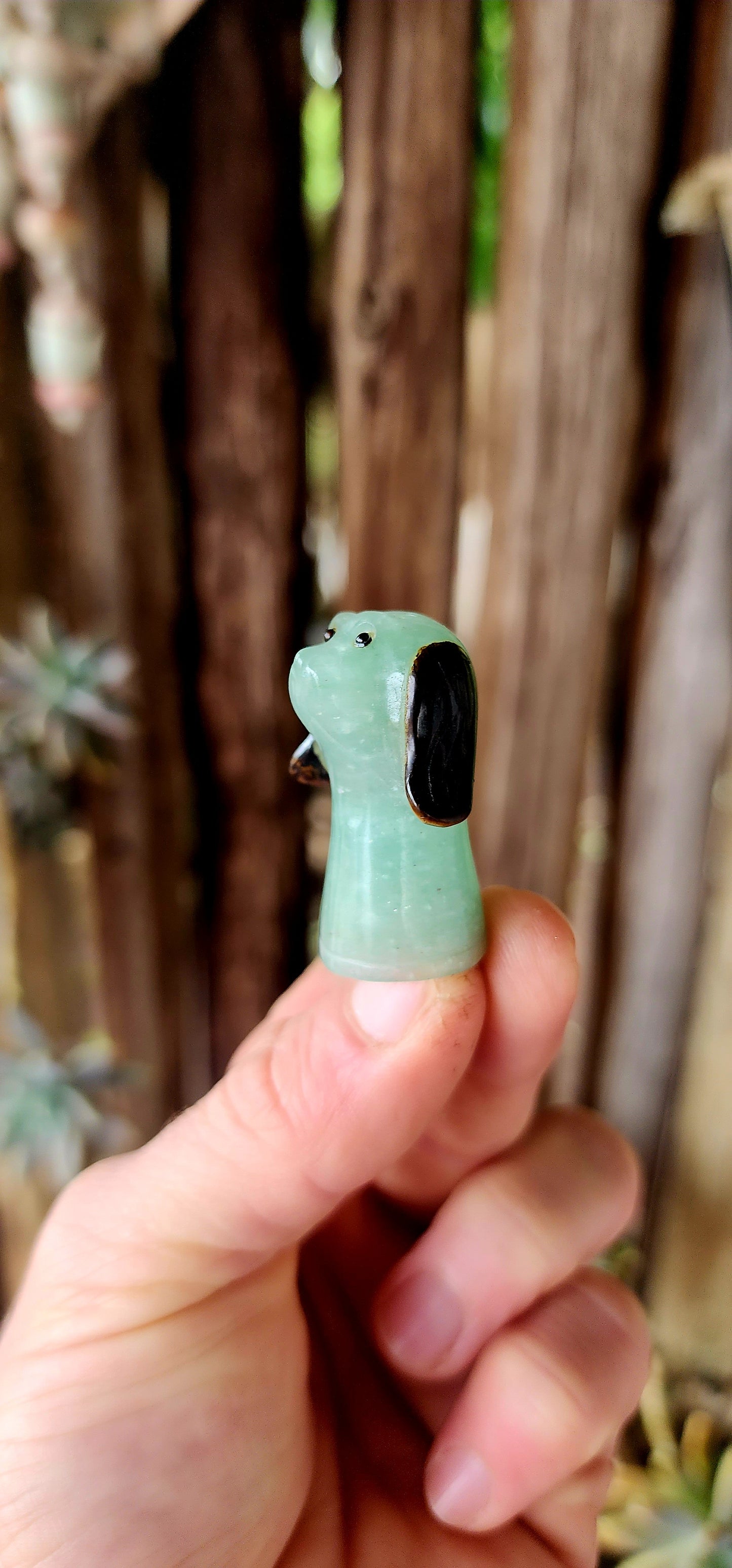 An Unusual Treasure for Your Cabinet of Curiosities.