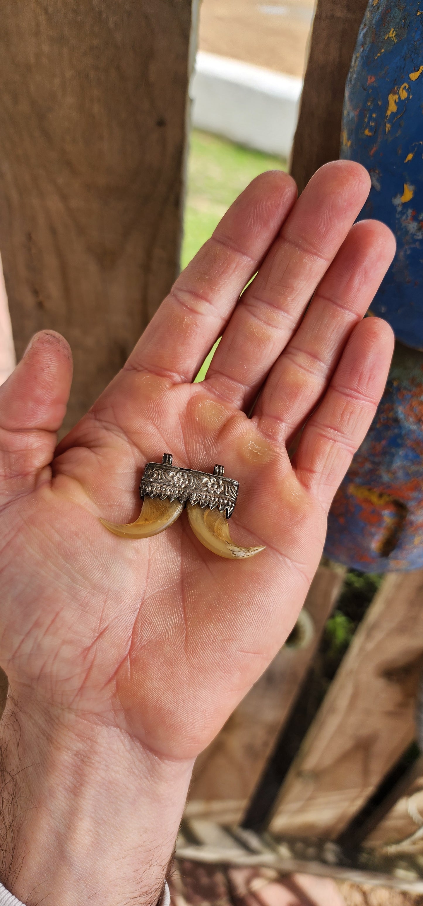 This pendant is a striking example of a traditional Indian double tiger claw talisman — a form deeply rooted in the country’s cultural heritage and long associated with strength, protection, and prestige.