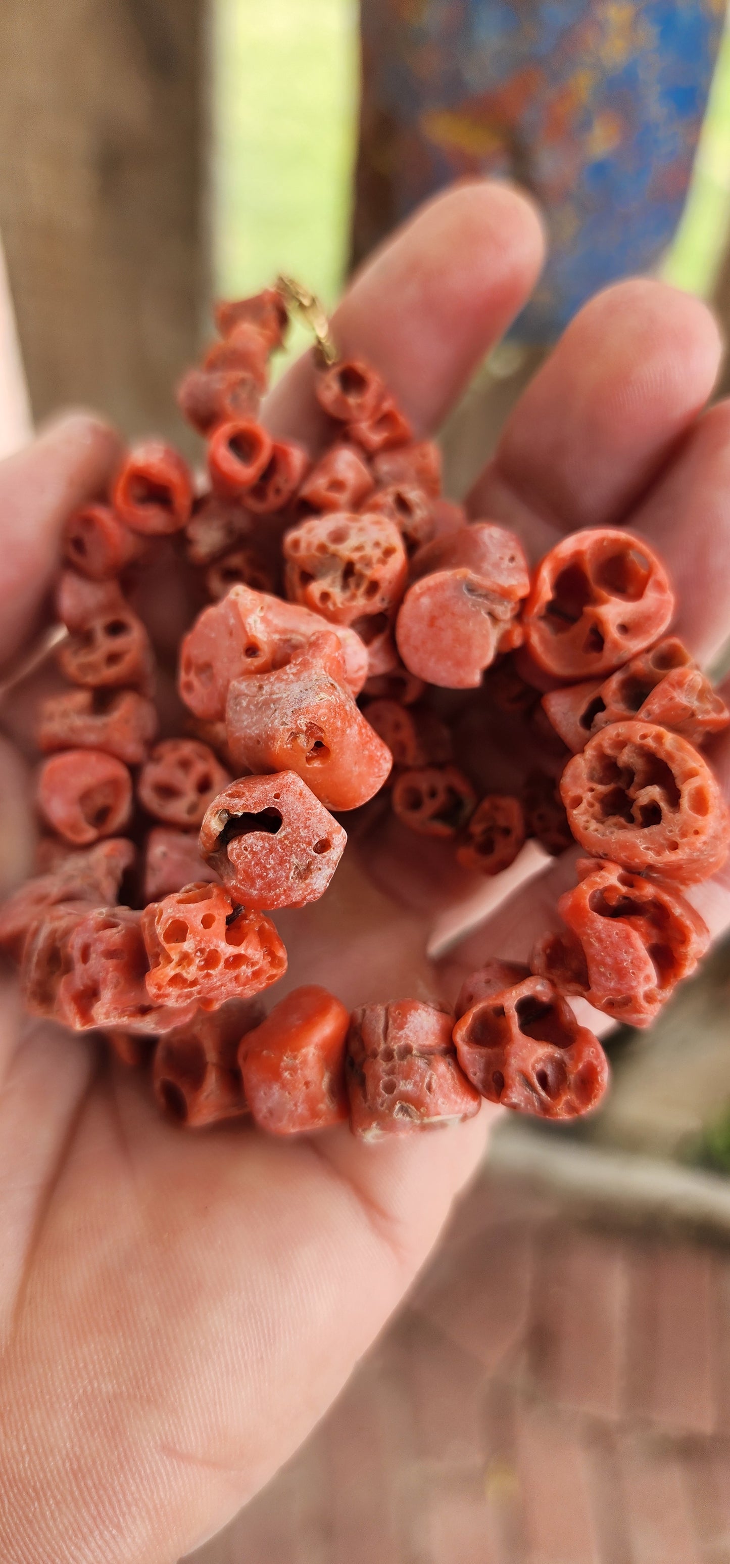 Mermaid Treasure from the Depths of the Mediterranean!