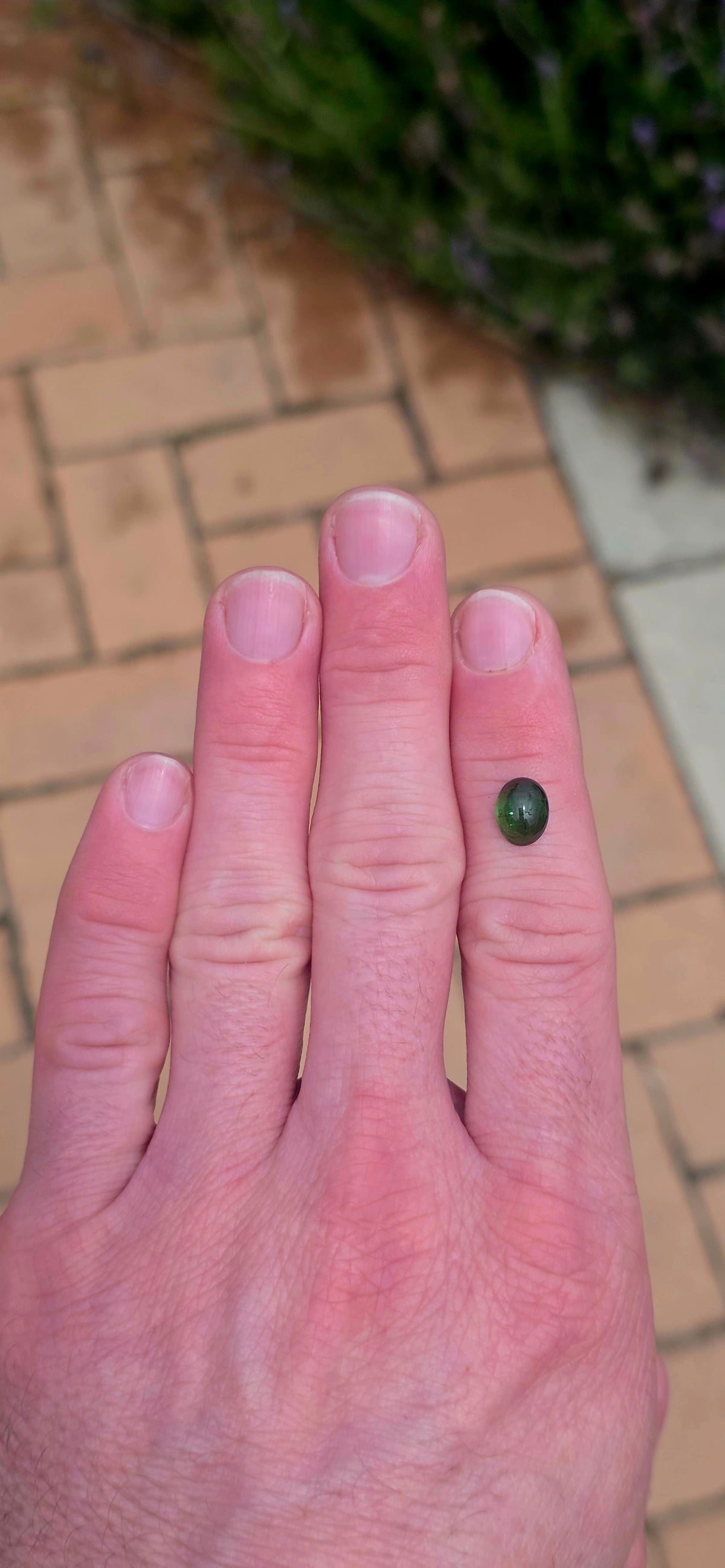 An absolutely BEAUTIFUL unset chrome green tourmaline cabochon, displaying the most enchanting deep forest-green colour with gorgeous flashes of vivid emerald green as the light catches it!