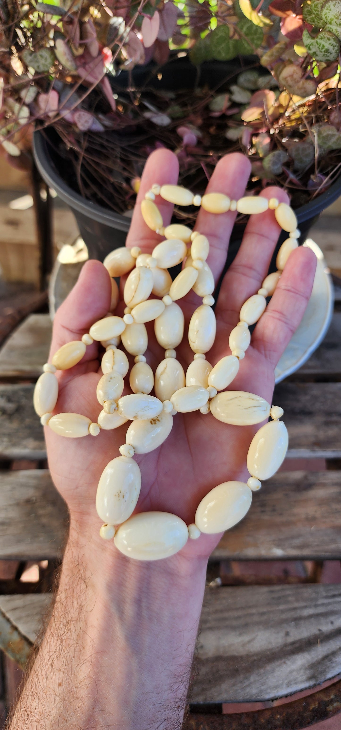 Abosulety stunning Extra length Art Deco Pre-ban Ivory Necklace , Circa 1920's.