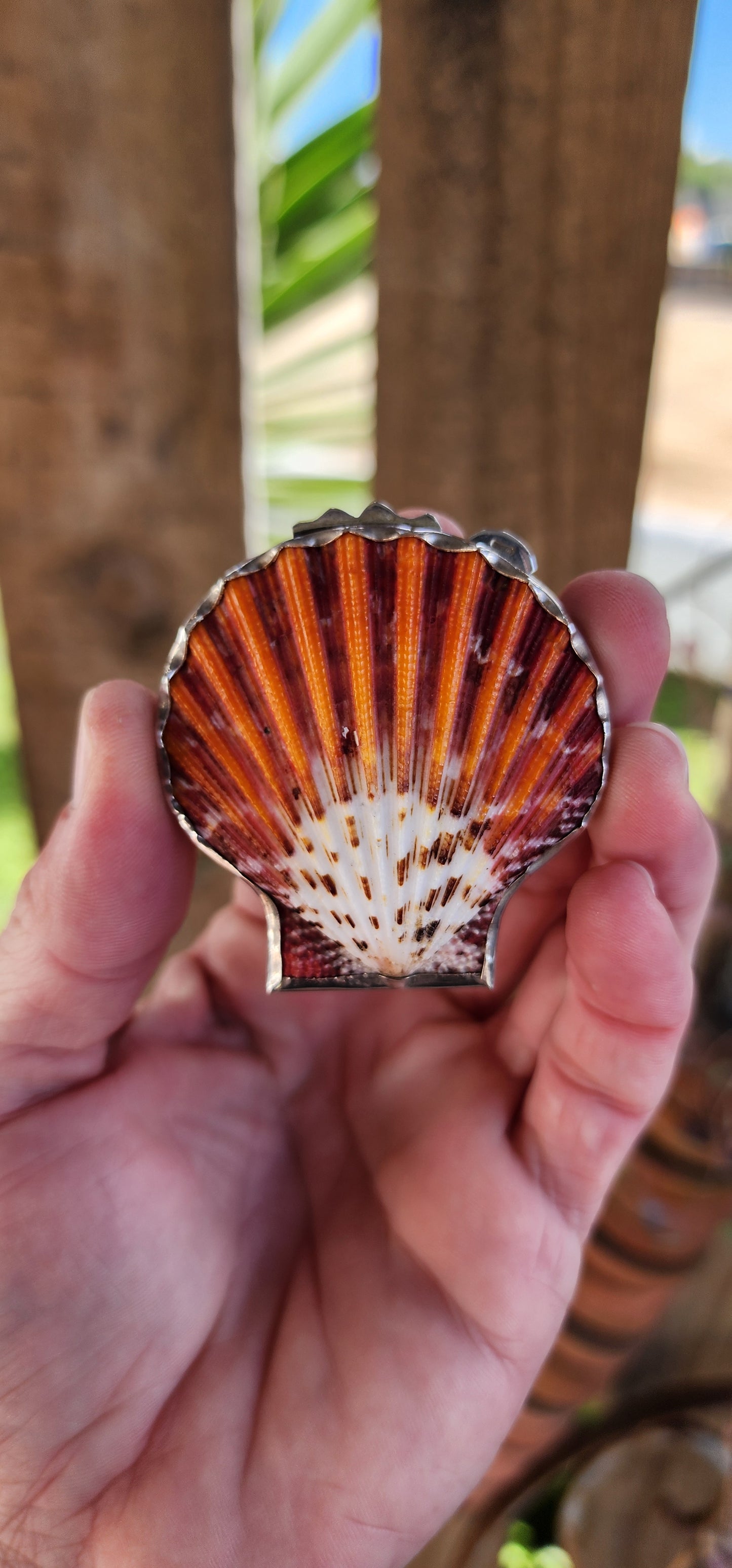 MERMAID TREASURE !! I LOVE THIS !
The most beautiful trinket/treasure holder made from two Royal Cloak Scallop shells and Sterling Silver.