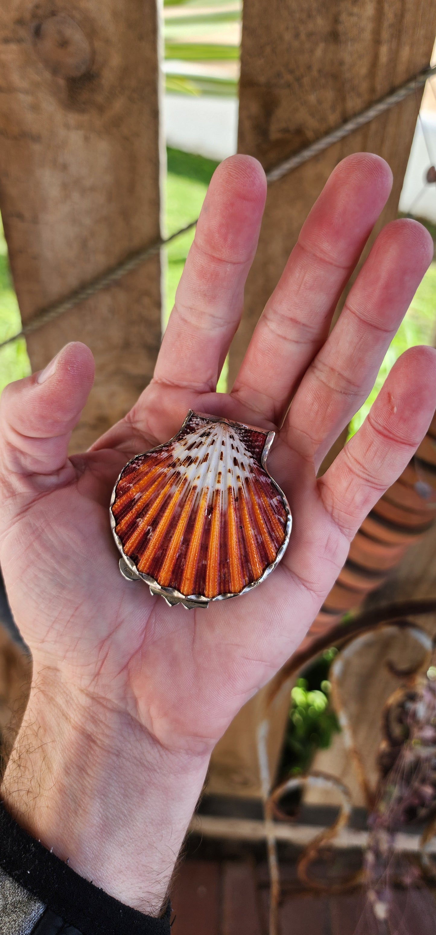 MERMAID TREASURE !! I LOVE THIS !
The most beautiful trinket/treasure holder made from two Royal Cloak Scallop shells and Sterling Silver.