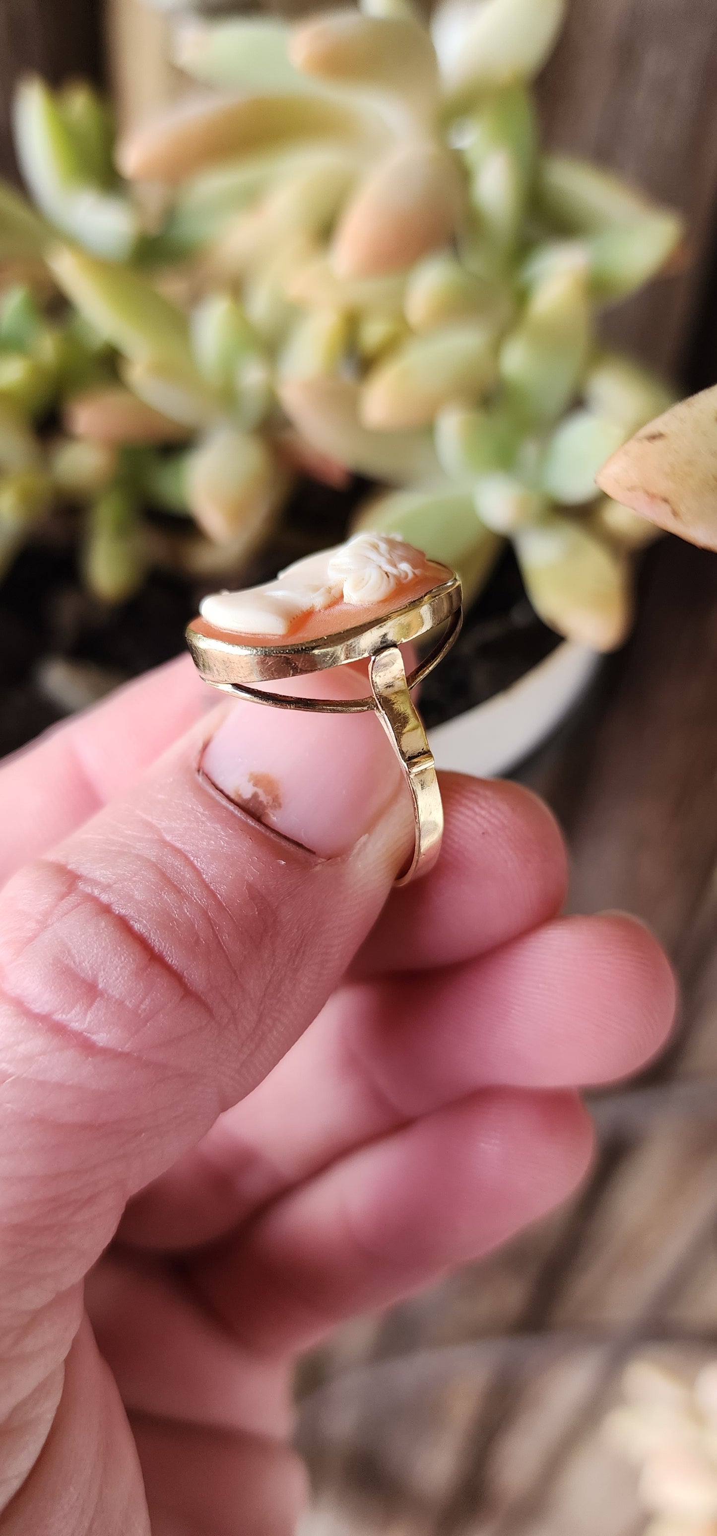 Elegant Vintage 14ct Yellow Gold and carved Conch Shell Cameo ring .