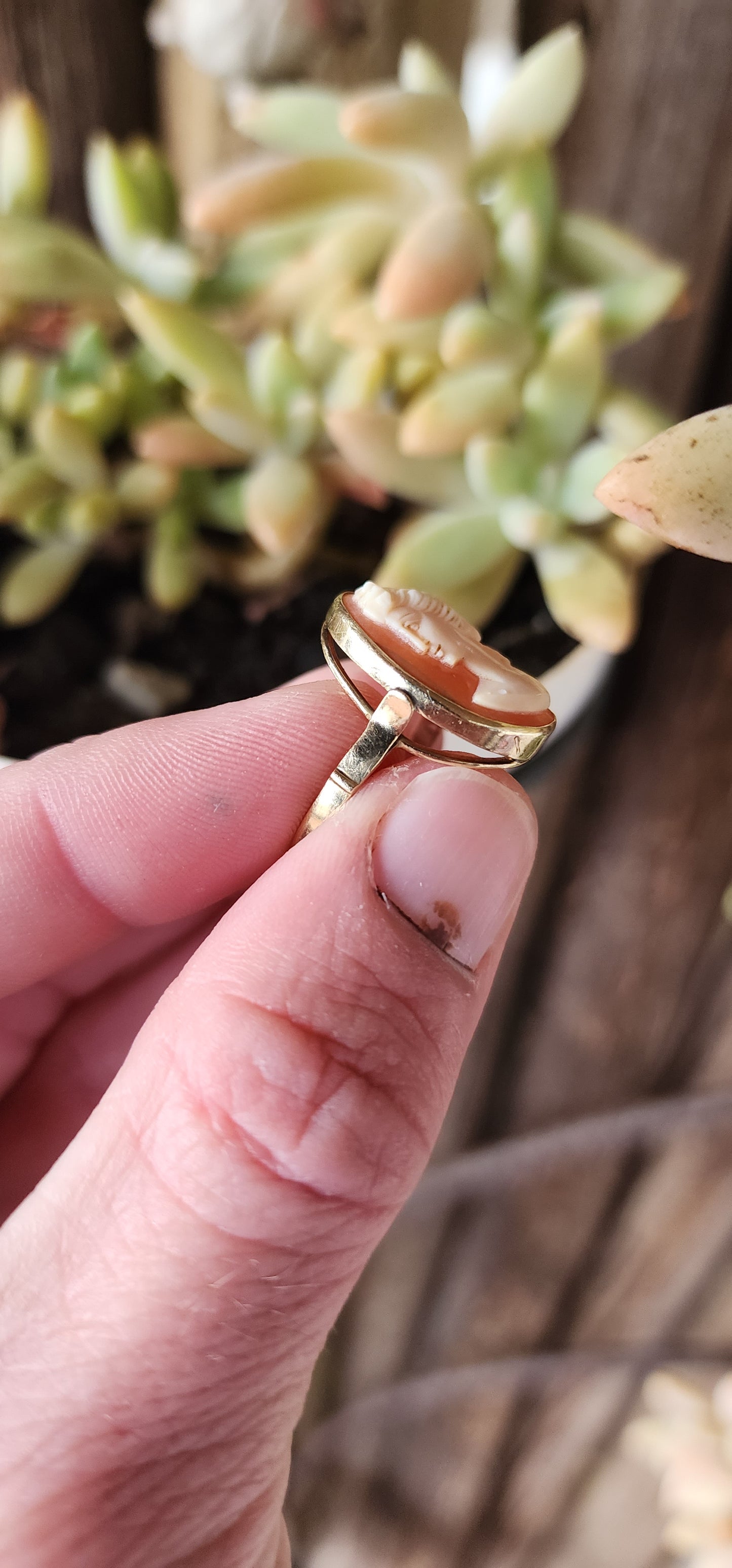 Elegant Vintage 14ct Yellow Gold and carved Conch Shell Cameo ring .