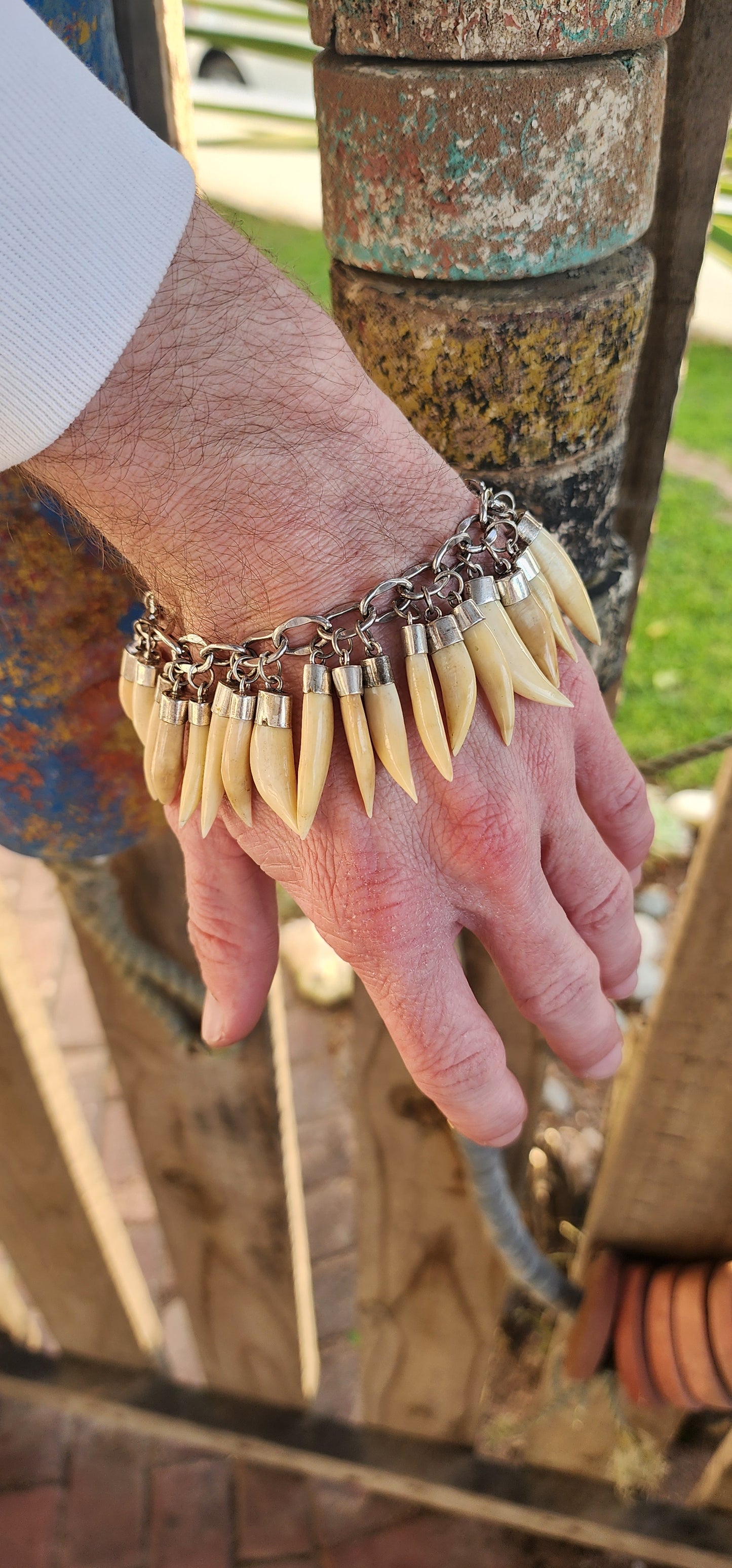 Marvelous and chunky Sterling Silver charm bracelet- fitted with 32x Victorian Sterling Silver Lion tooth pendants/charms!