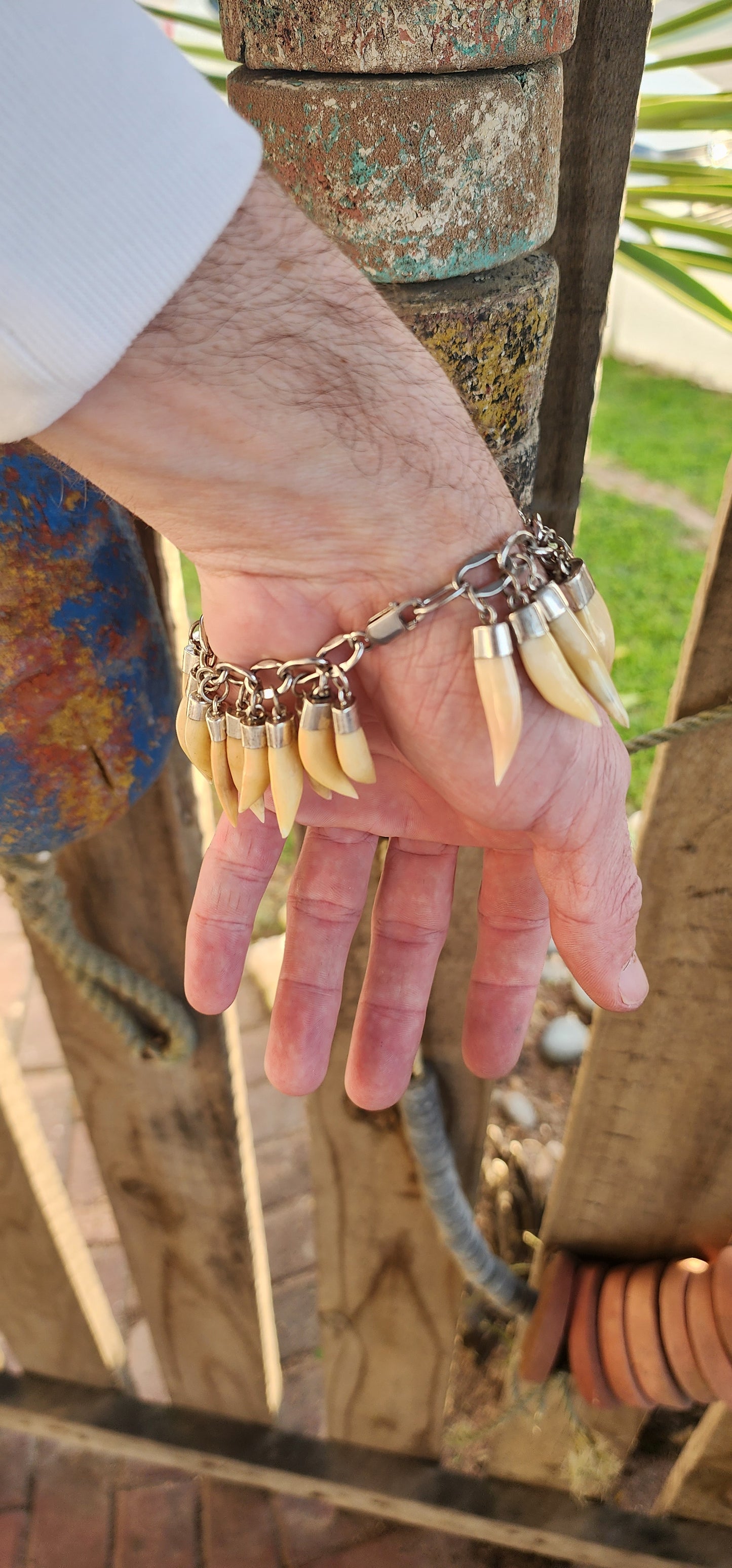 Marvelous and chunky Sterling Silver charm bracelet- fitted with 32x Victorian Sterling Silver Lion tooth pendants/charms!