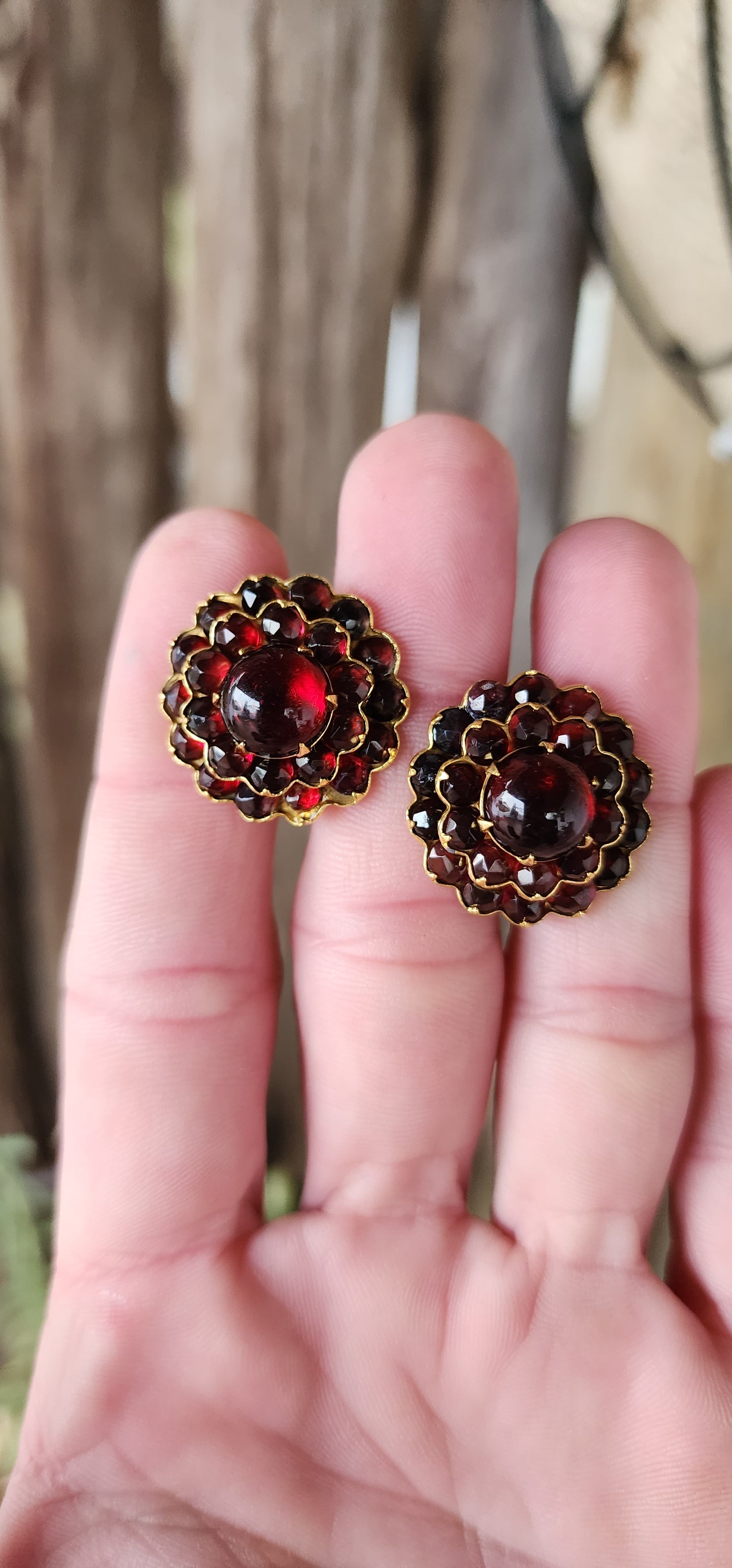 Generous in size pair of Antique Edwardian circa 1915 Bohemian Czech Garnet Screwback blossom earrings.