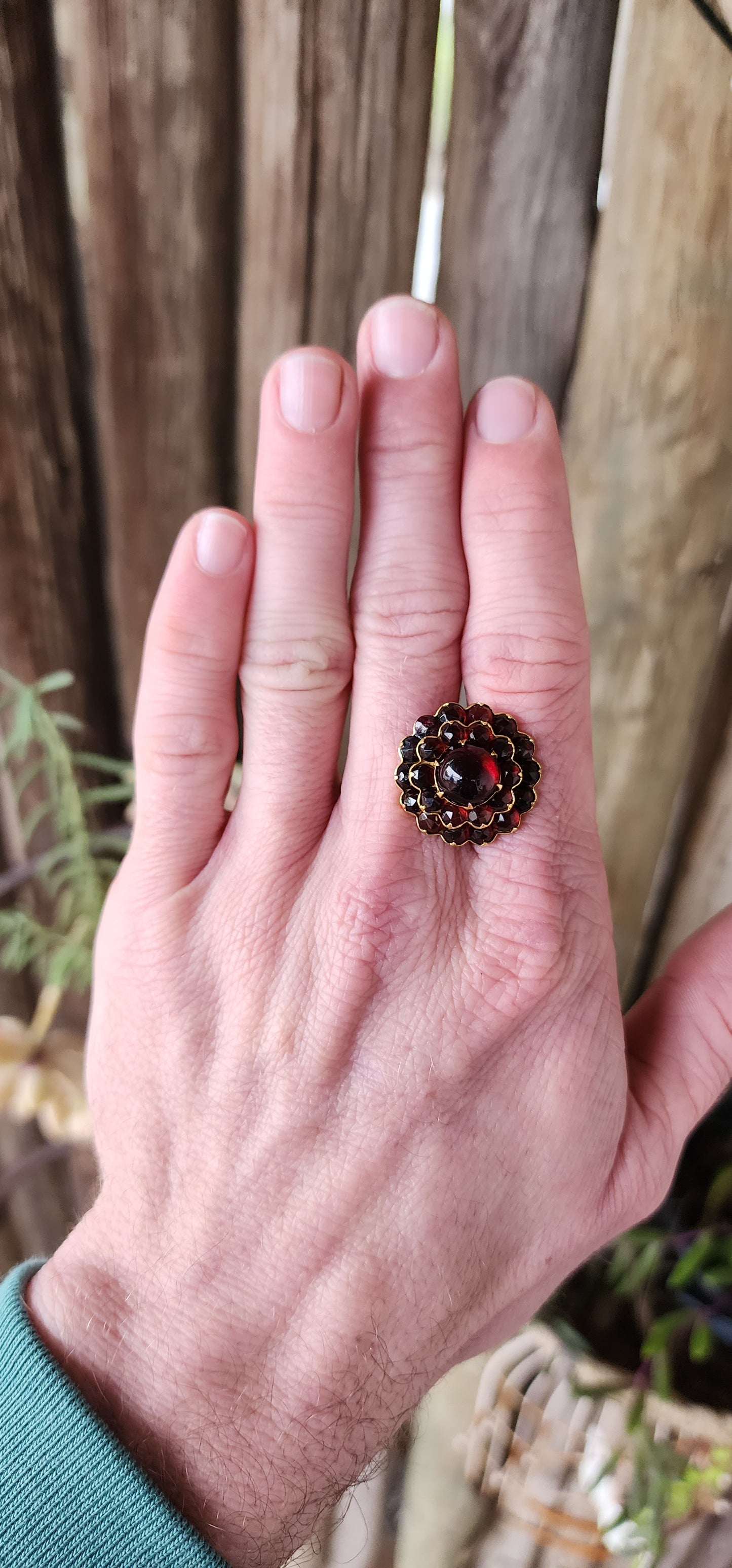 Generous in size pair of Antique Edwardian circa 1915 Bohemian Czech Garnet Screwback blossom earrings.