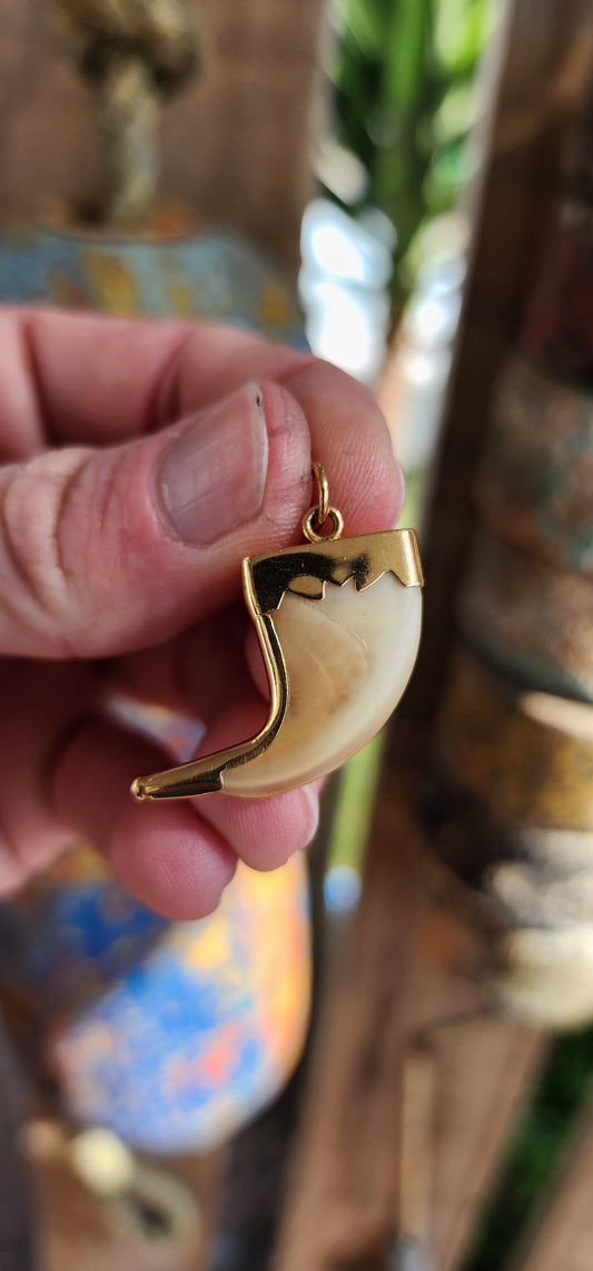 A fabulous and rare Victorian era 9ct Yellow Gold Lion claw pendant. The pendant comprises of a beautiful Lion claw in a lovely 9ct Gold surround with scrolling border.