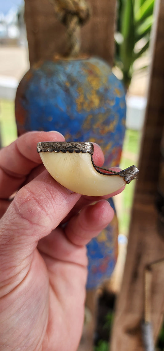 A fabulous and rare late Victorian era Lion claw brooch.The brooch comprises of a beautiful Lion claw in a lovely engraved Sterling Silver surround with scrolling border.Fitted with a Sterling Silver safety chain.