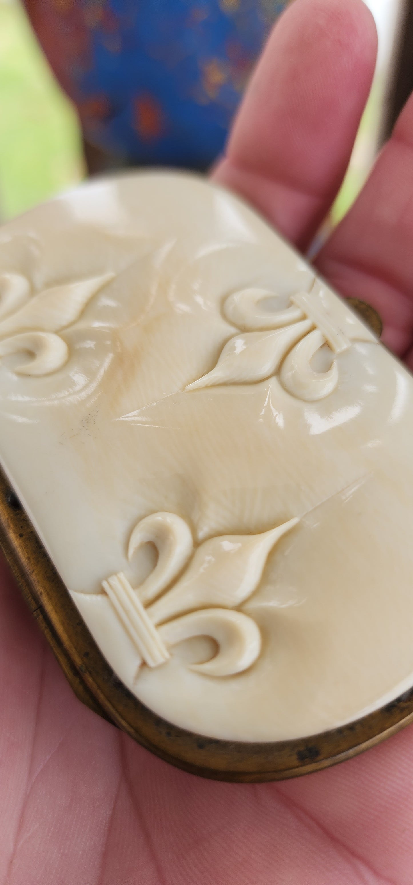 Antique French carved pre-ban Ivory and Brass coin purse from the Victorian era,late 19th Century.The Brass frame holds an accordion-style divided interior, adorned with Fleur de lis carvings on pre-ban Ivory panels.