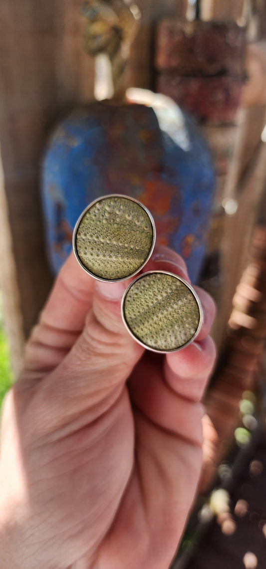 These are sterling silver cufflinks featuring hardened sea urchin shells, crafted by the South African jewelry designer Kinkel Jewellery.