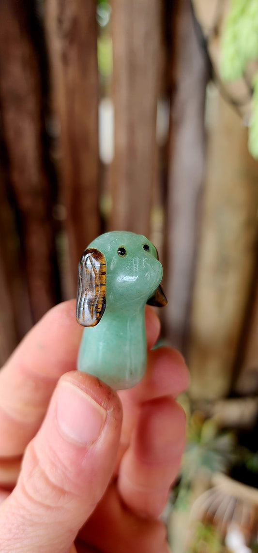 An Unusual Treasure for Your Cabinet of Curiosities.