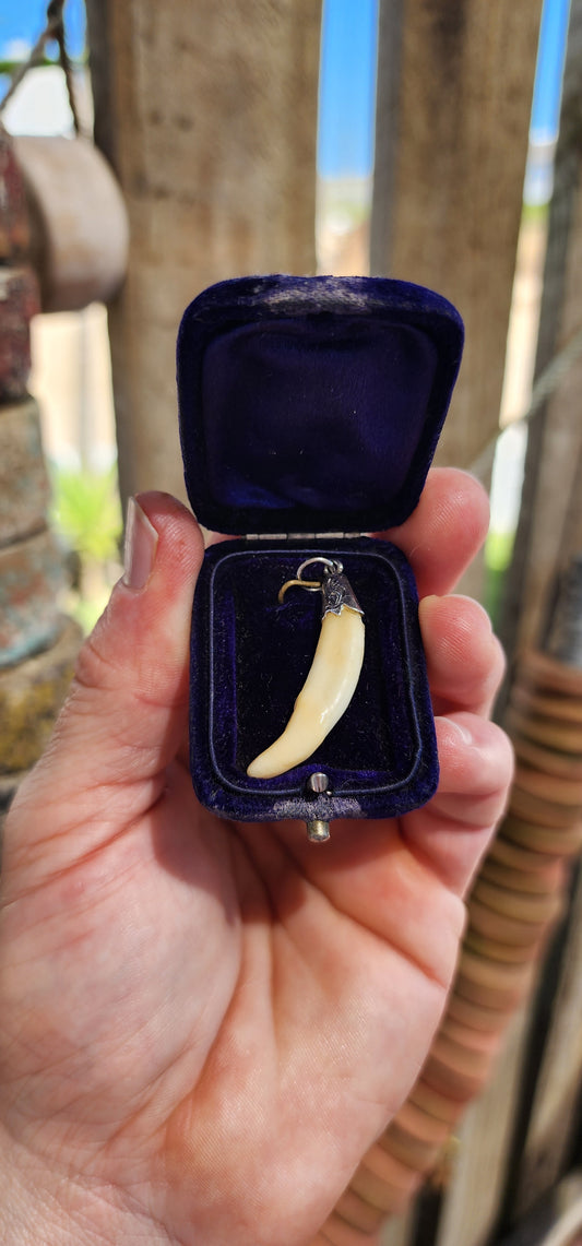 Victorian Fox Fang Hunting Pendant (circa late 1800s).