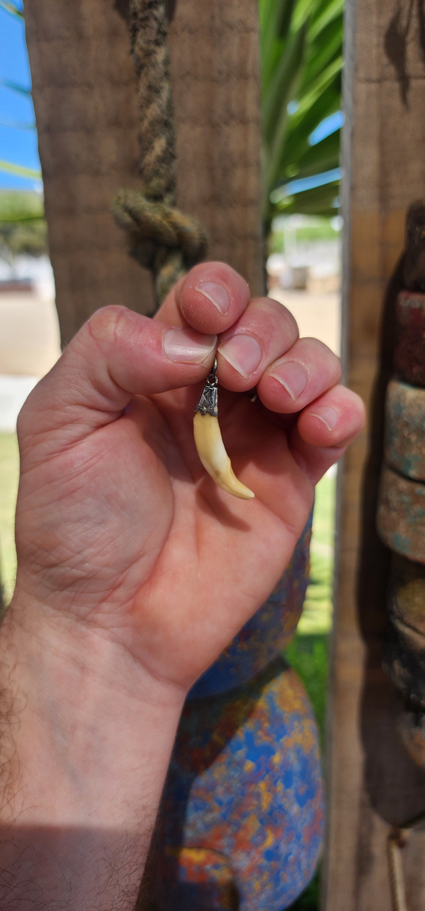 Victorian Fox Fang Hunting Pendant (circa late 1800s).