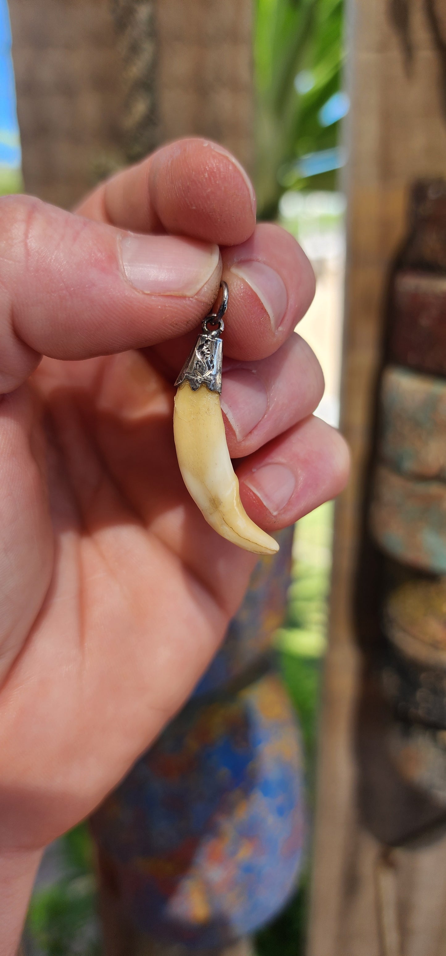 Victorian Fox Fang Hunting Pendant (circa late 1800s).