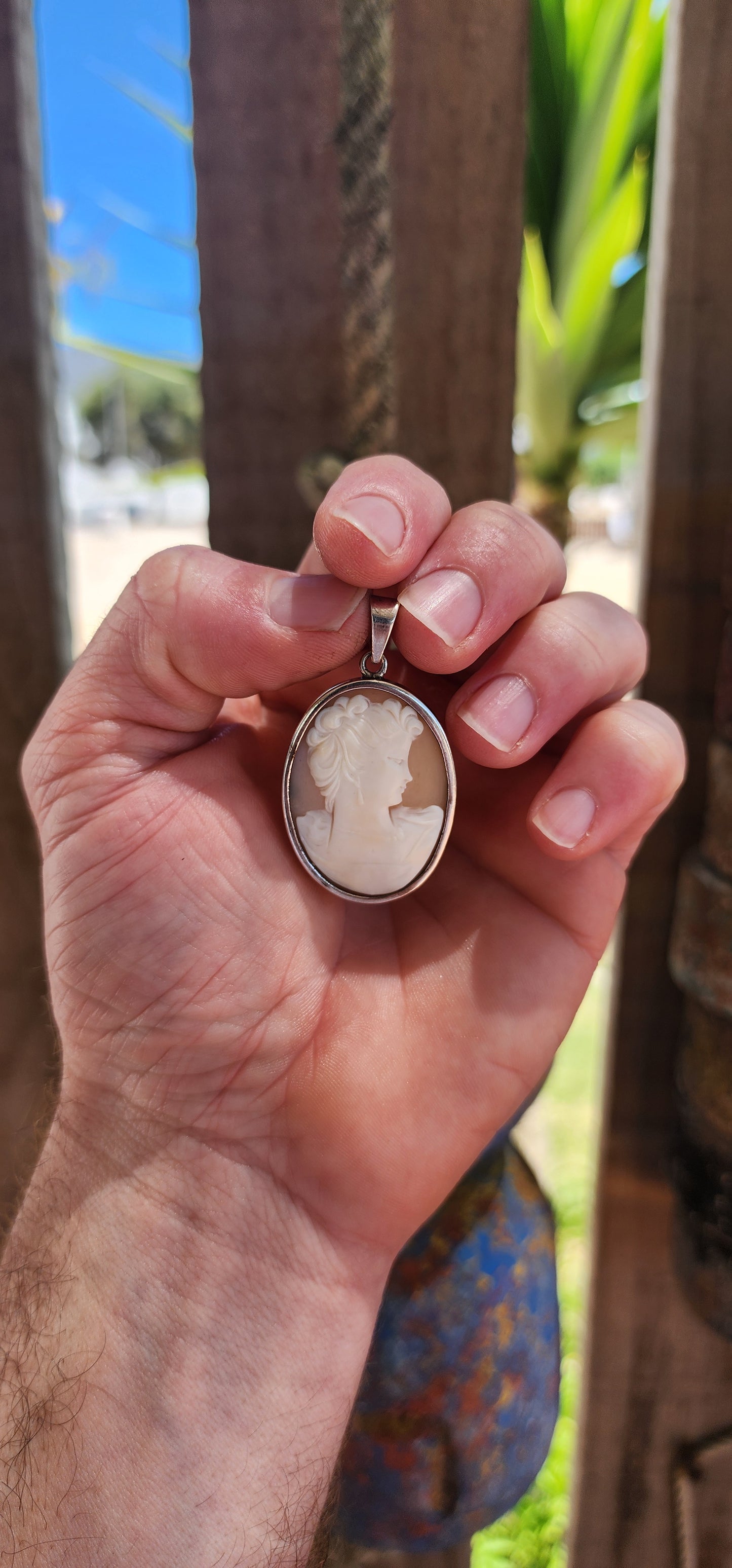 Beautifull and generous in size vintage shell cameo pendant, lovingly set in a sleek sterling silver tube-style frame.