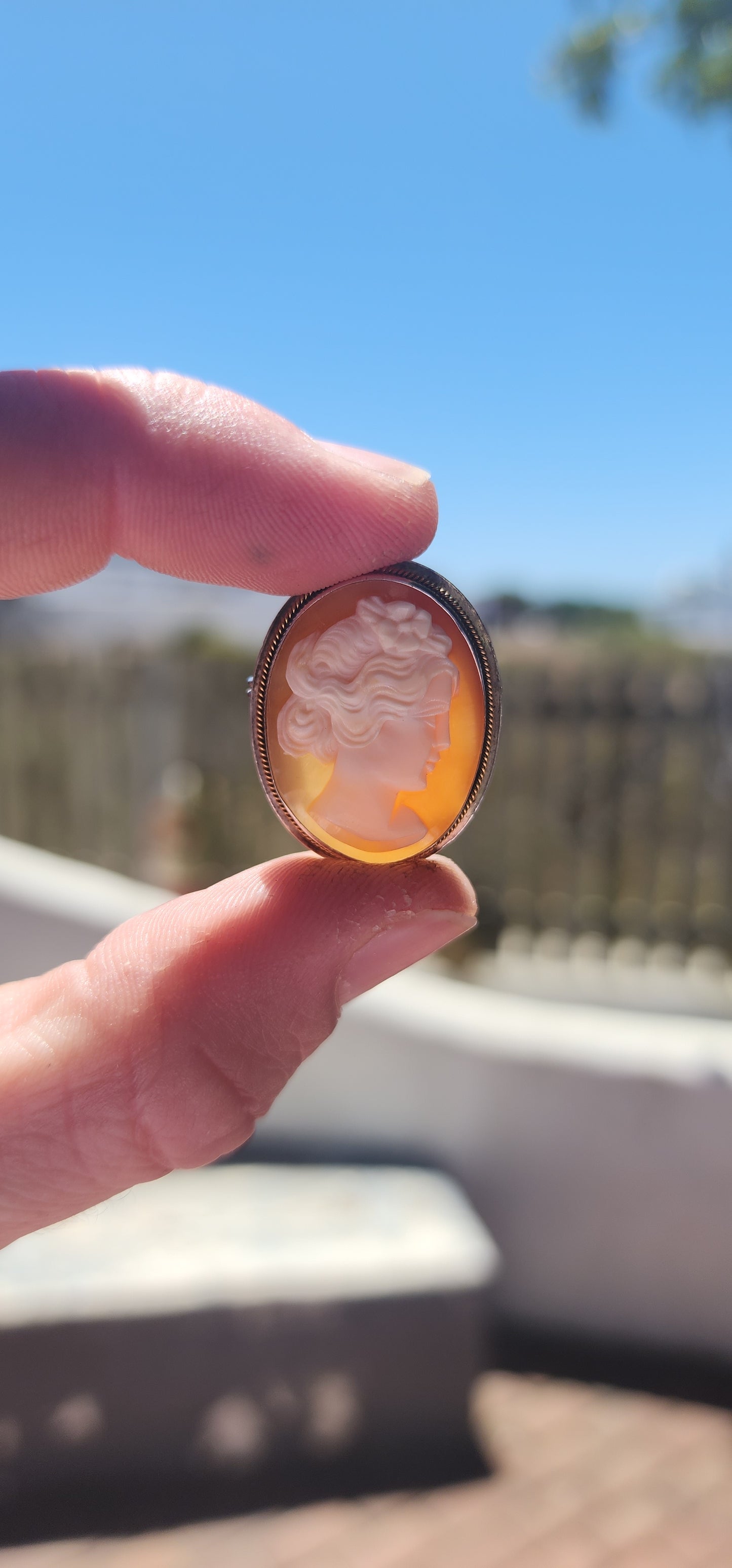 Vintage Hand-Carved Shell Cameo Brooch / Pendant — .900 Silver.