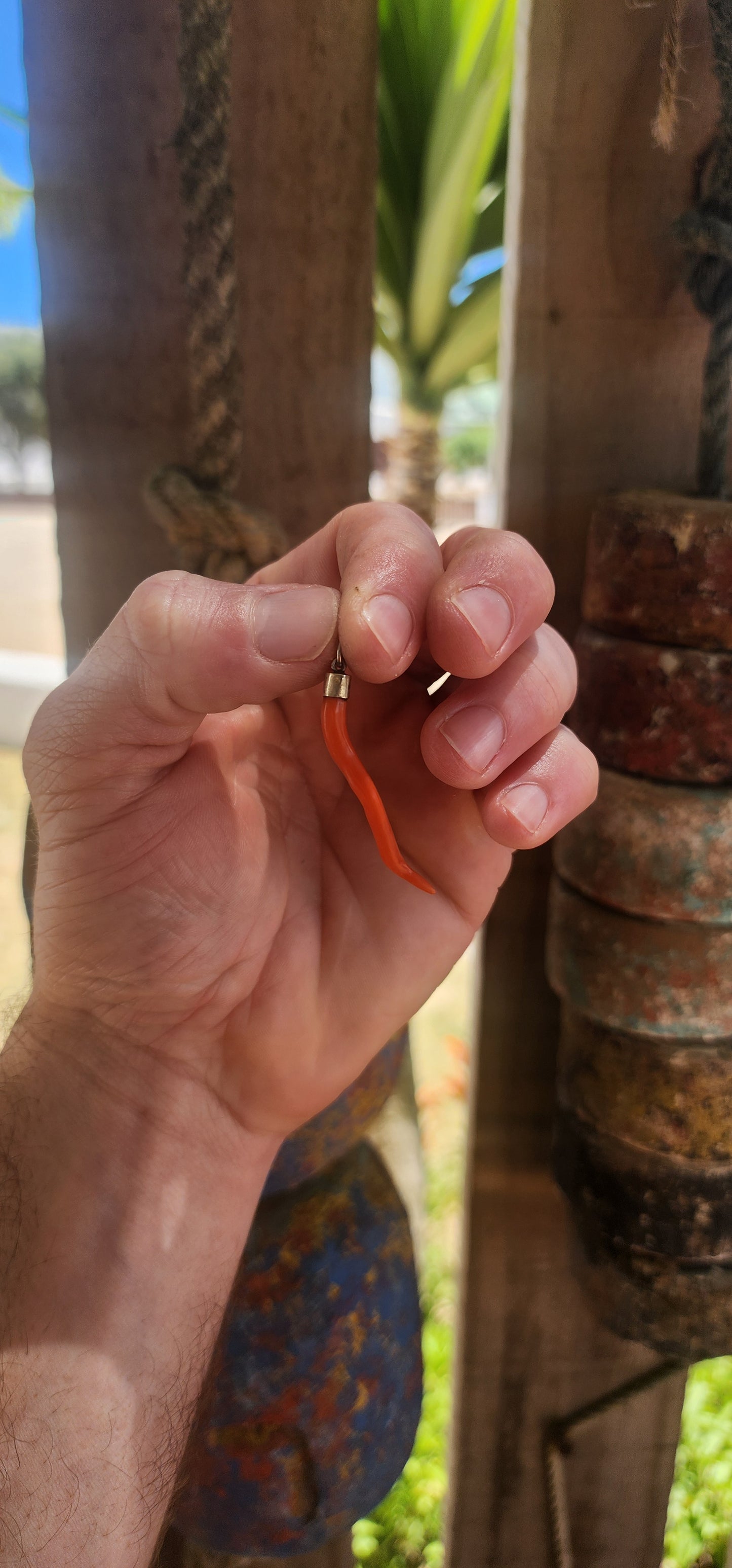 Antique Victorian-era Cornicello pendant, crafted with a sterling silver cap and a beautifully curved piece of genuine Mediterranean red coral.