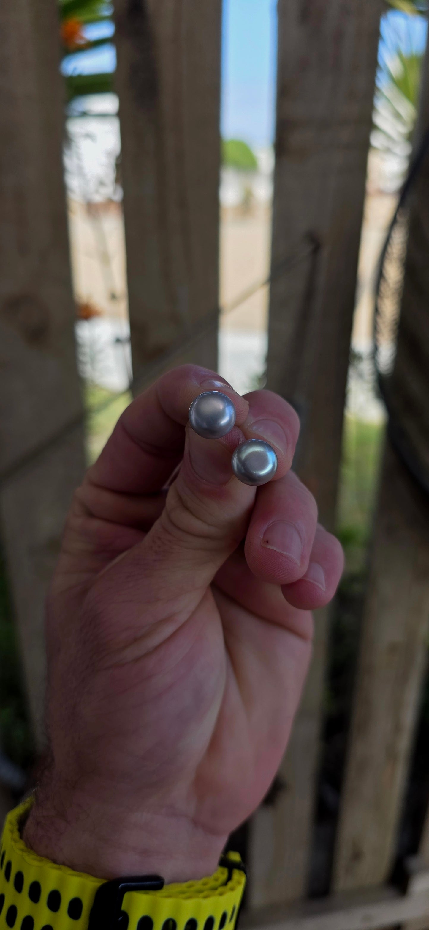 A beautiful pair of sterling silver stud earrings, each set with a smoky grey freshwater button pearl — offering a modern twist on a timeless classic.