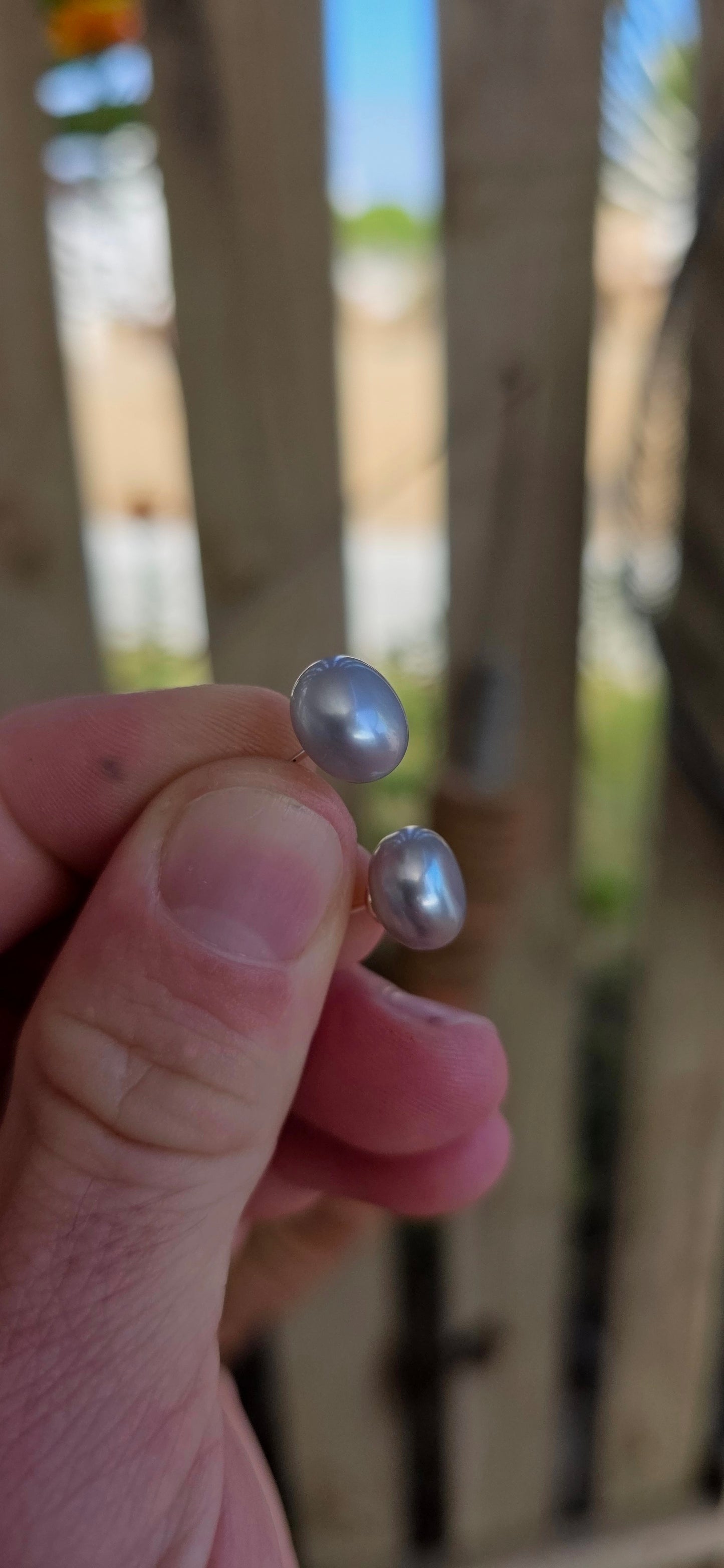 A beautiful pair of sterling silver stud earrings, each set with a smoky grey freshwater button pearl — offering a modern twist on a timeless classic.