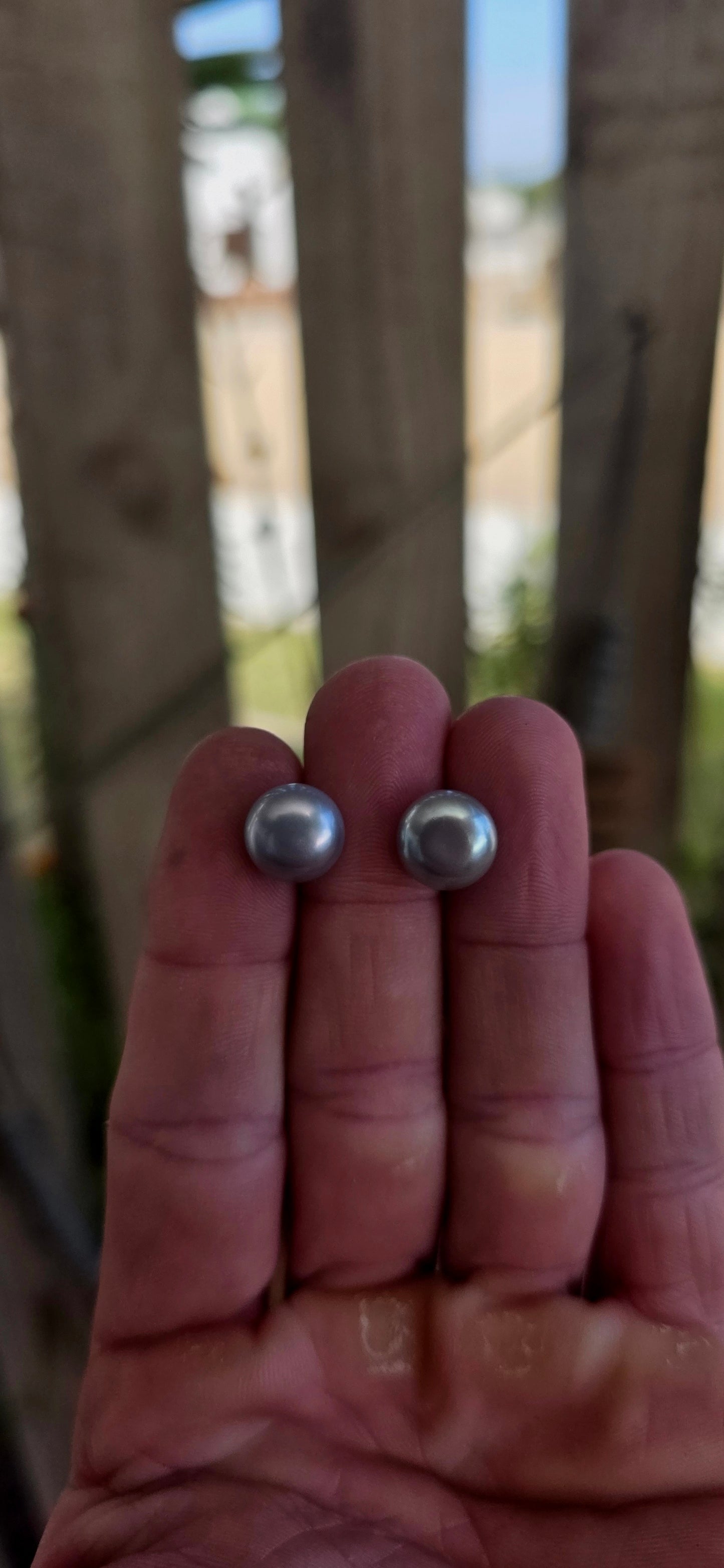A beautiful pair of sterling silver stud earrings, each set with a smoky grey freshwater button pearl — offering a modern twist on a timeless classic.