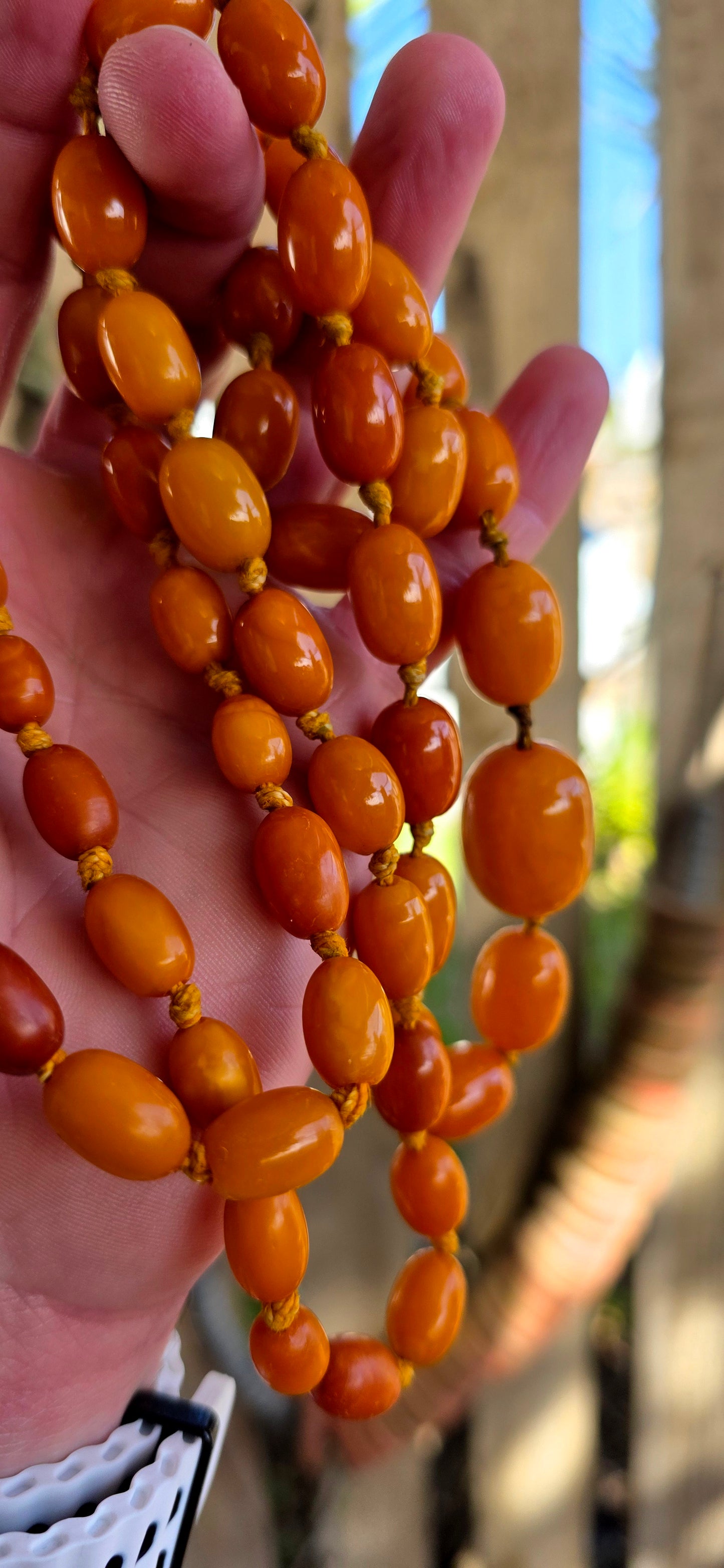An extra-length antique Baltic amber necklace, showcasing a luxurious strand of butterscotch amber beads in beautifully graduated oval forms.