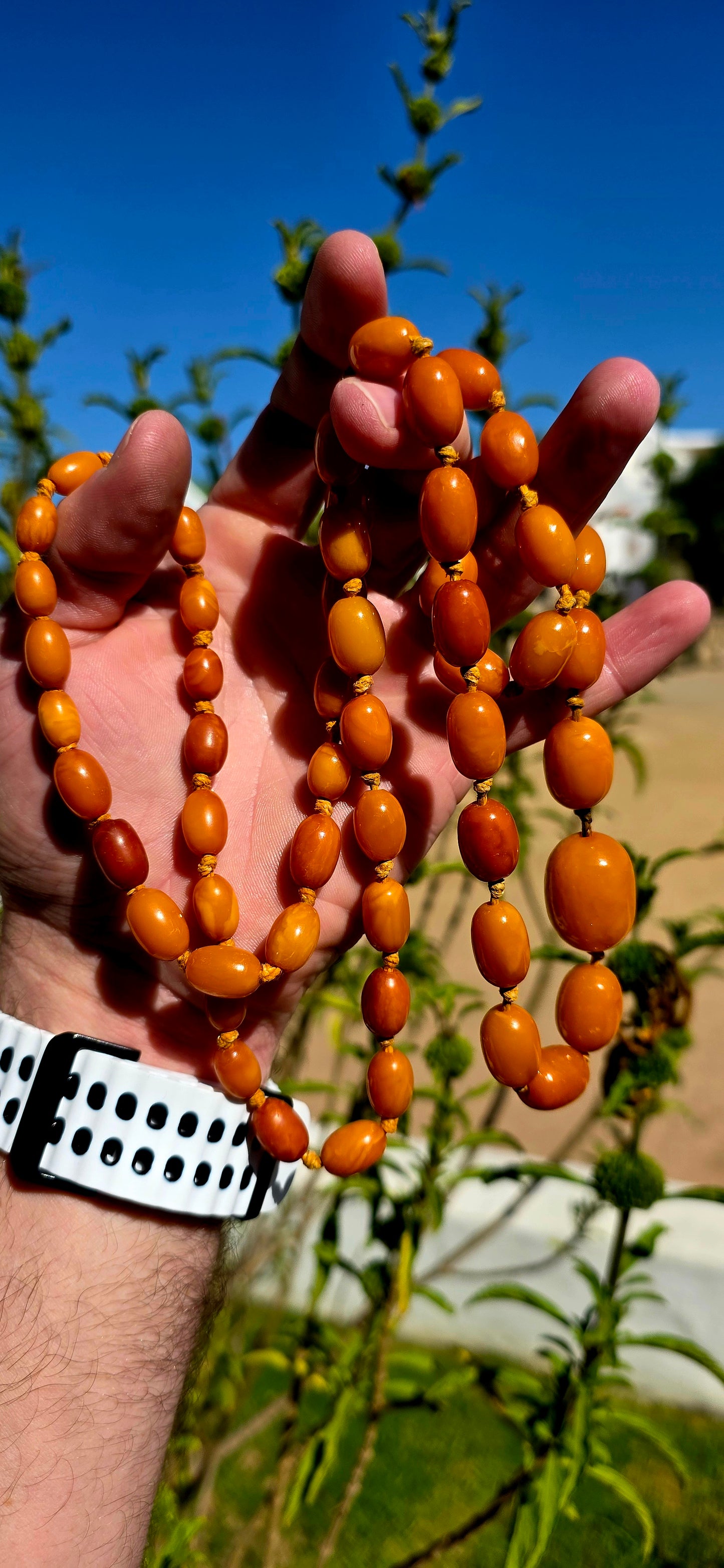 An extra-length antique Baltic amber necklace, showcasing a luxurious strand of butterscotch amber beads in beautifully graduated oval forms.