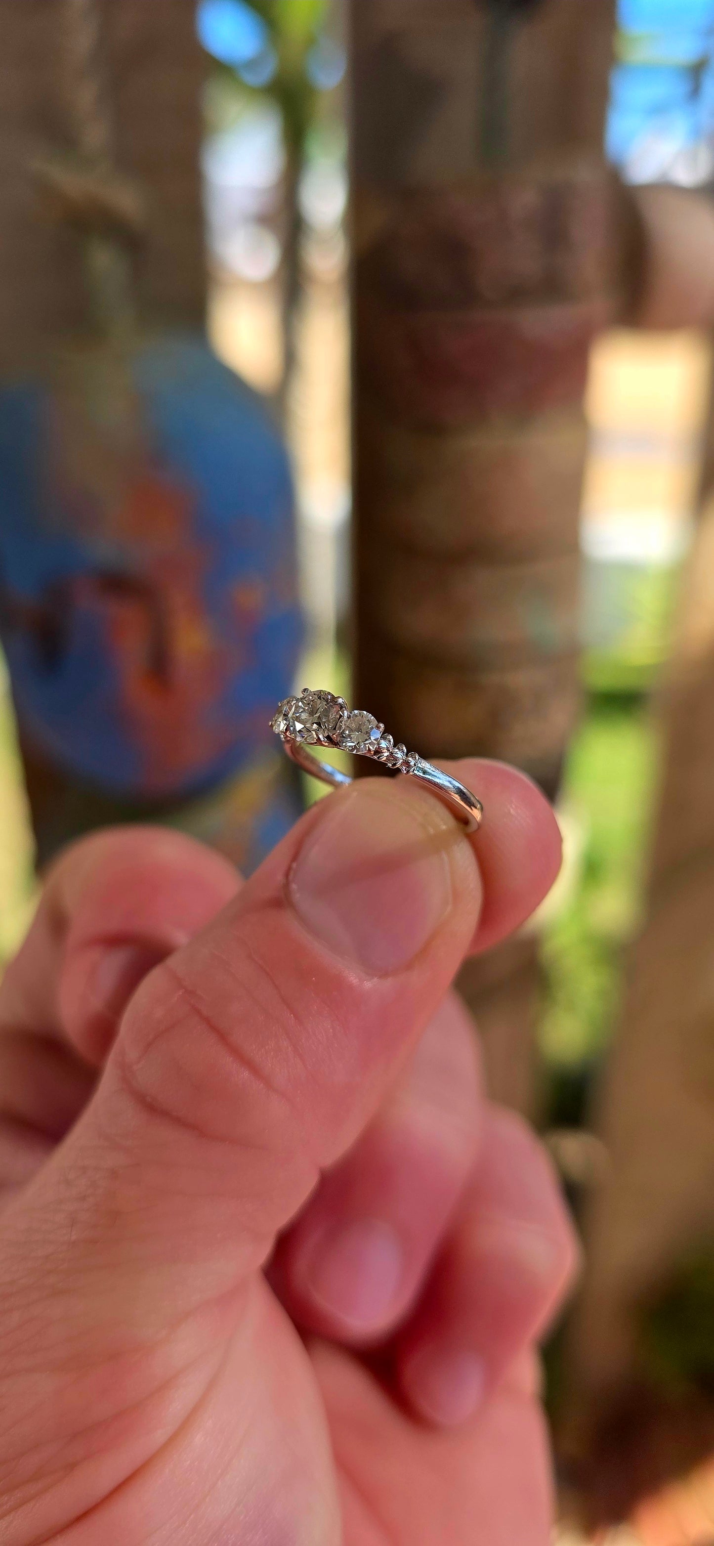 An absolutely spectacular 18ct white gold Diamond Trilogy Ring from the iconic Browns Protea Collection.