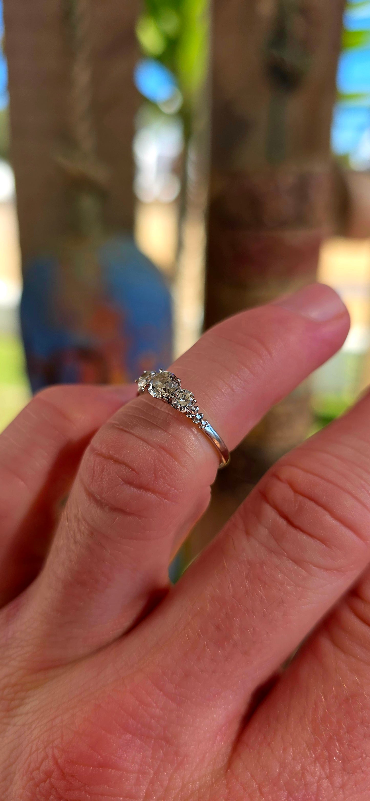 An absolutely spectacular 18ct white gold Diamond Trilogy Ring from the iconic Browns Protea Collection.