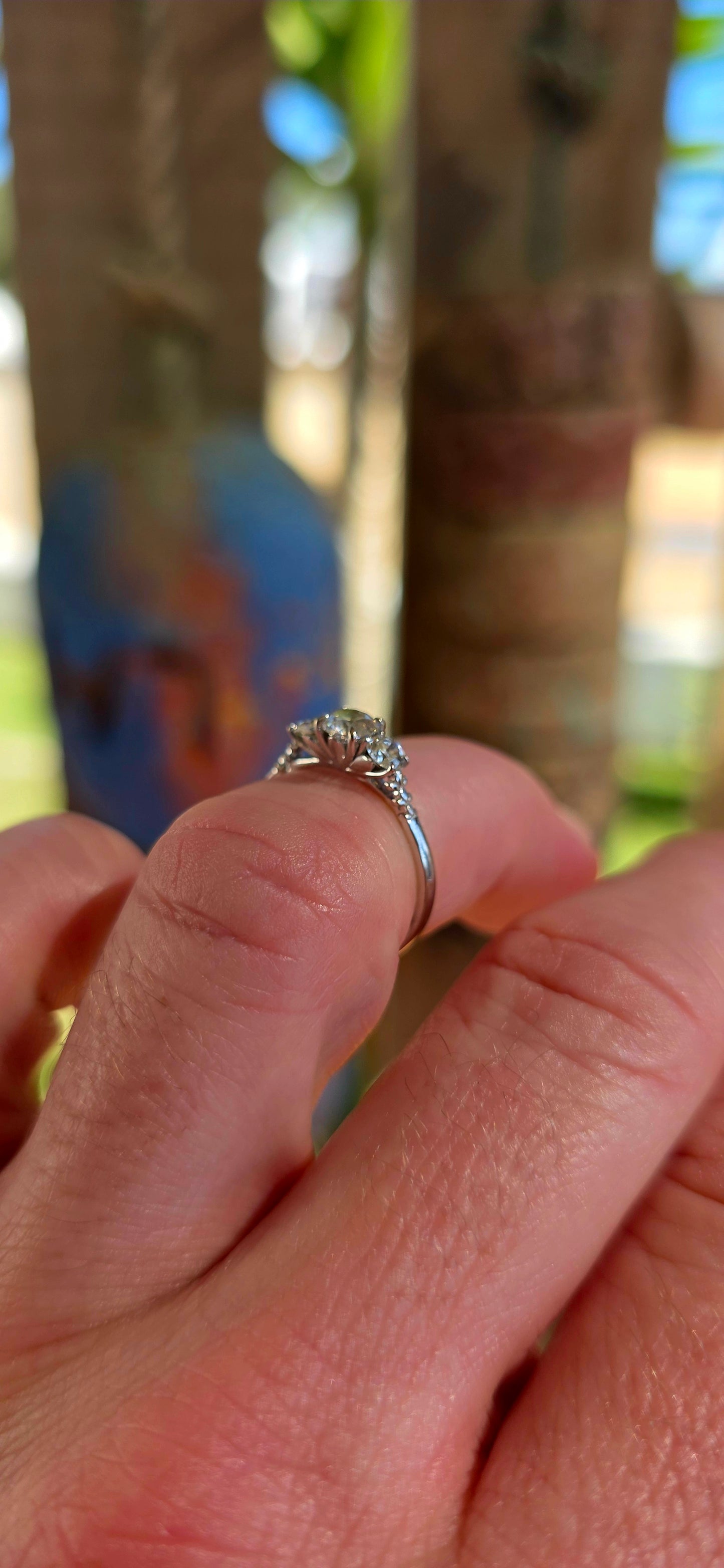 An absolutely spectacular 18ct white gold Diamond Trilogy Ring from the iconic Browns Protea Collection.