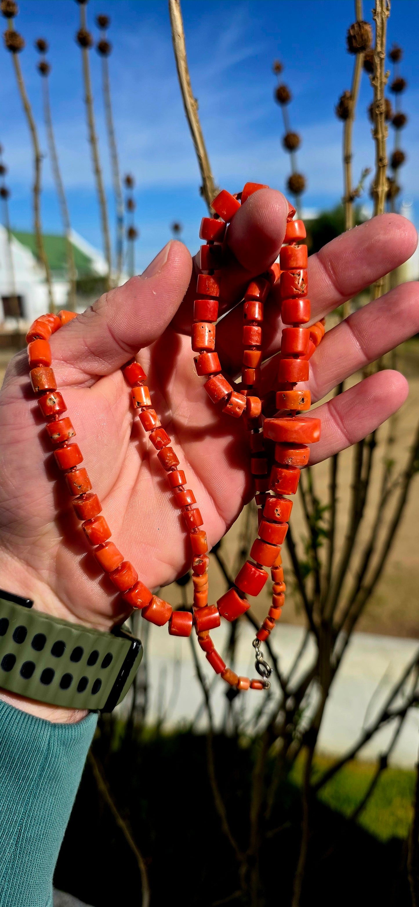 A truly exceptional and increasingly scarce find — this beautiful antique necklace is crafted from genuine Sciacca coral, celebrated for its rich sunset orange tones and historic origins in the Mediterranean.