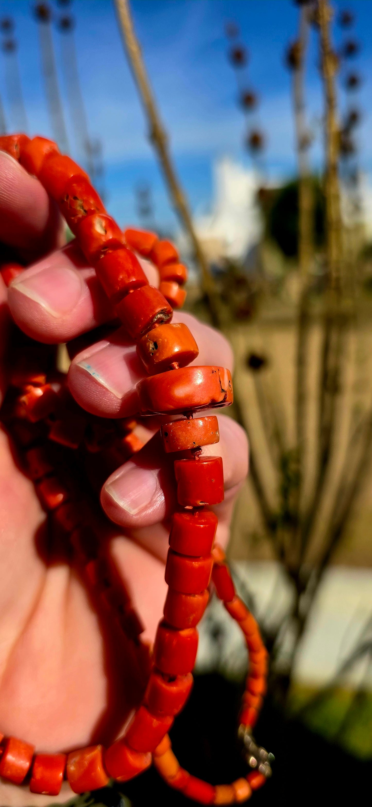 A truly exceptional and increasingly scarce find — this beautiful antique necklace is crafted from genuine Sciacca coral, celebrated for its rich sunset orange tones and historic origins in the Mediterranean.