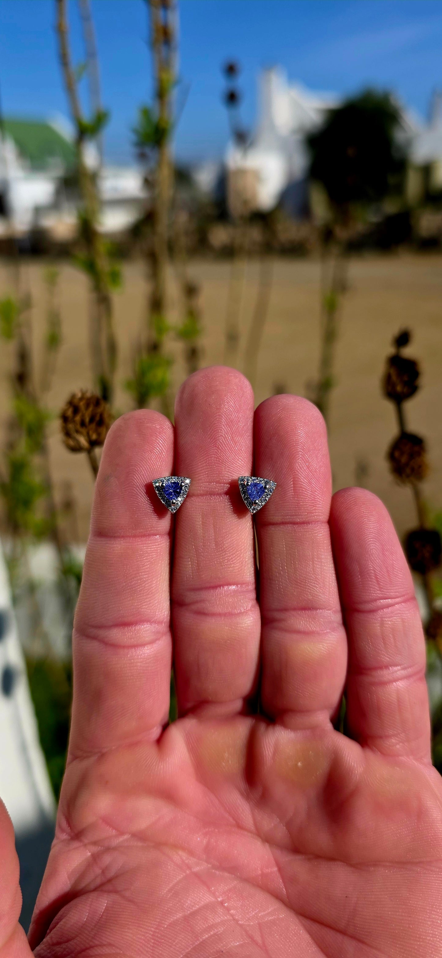 Crafted in sterling silver, these elegant stud earrings feature beautiful prong-set trillion cut tanzanites glowing in rich shades of violet-blue, indigo, and twilight lavender .