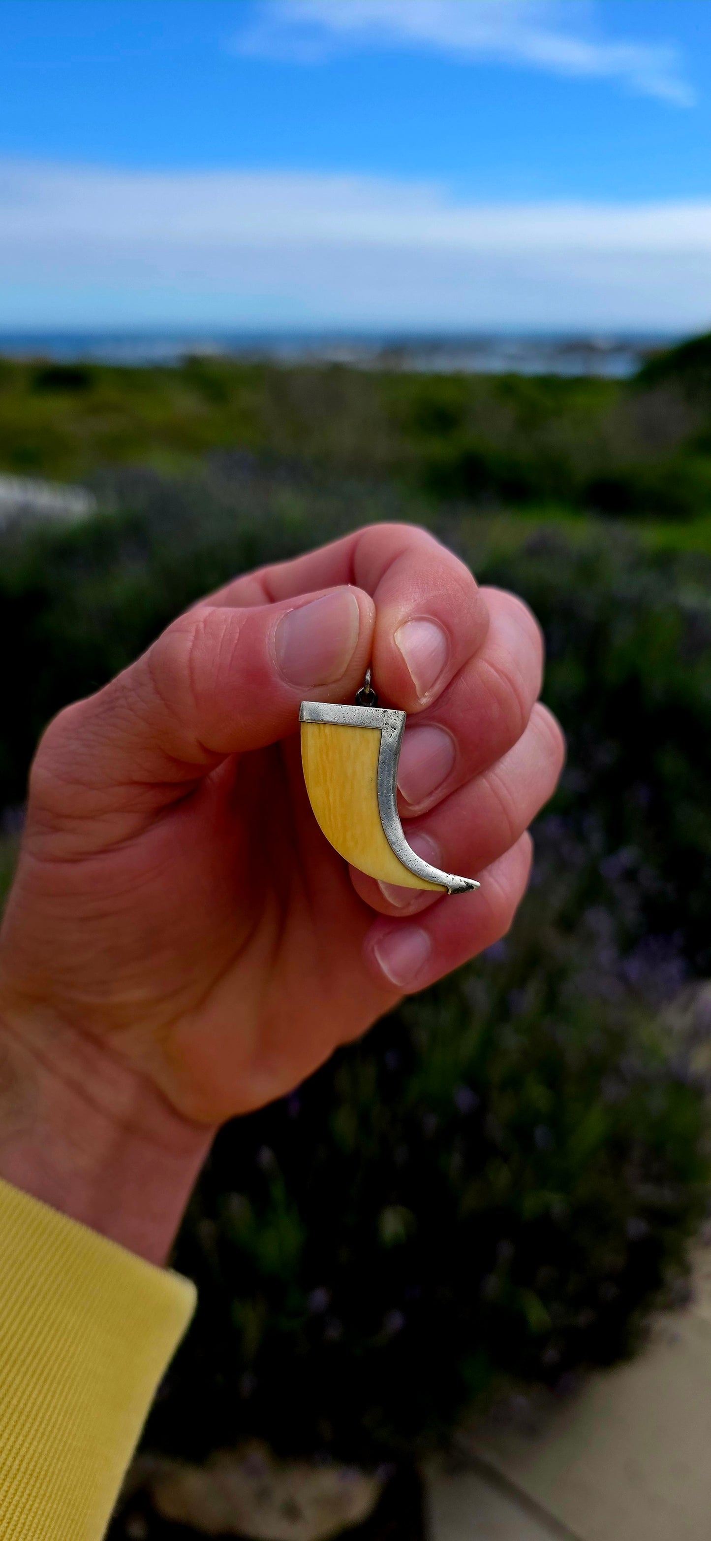 Bold yet beautifully understated, this vintage lion's claw pendant is crafted from sterling silver and fitted with a pre-ban ivory claw, creating a striking piece inspired by one of nature's most powerful predators.