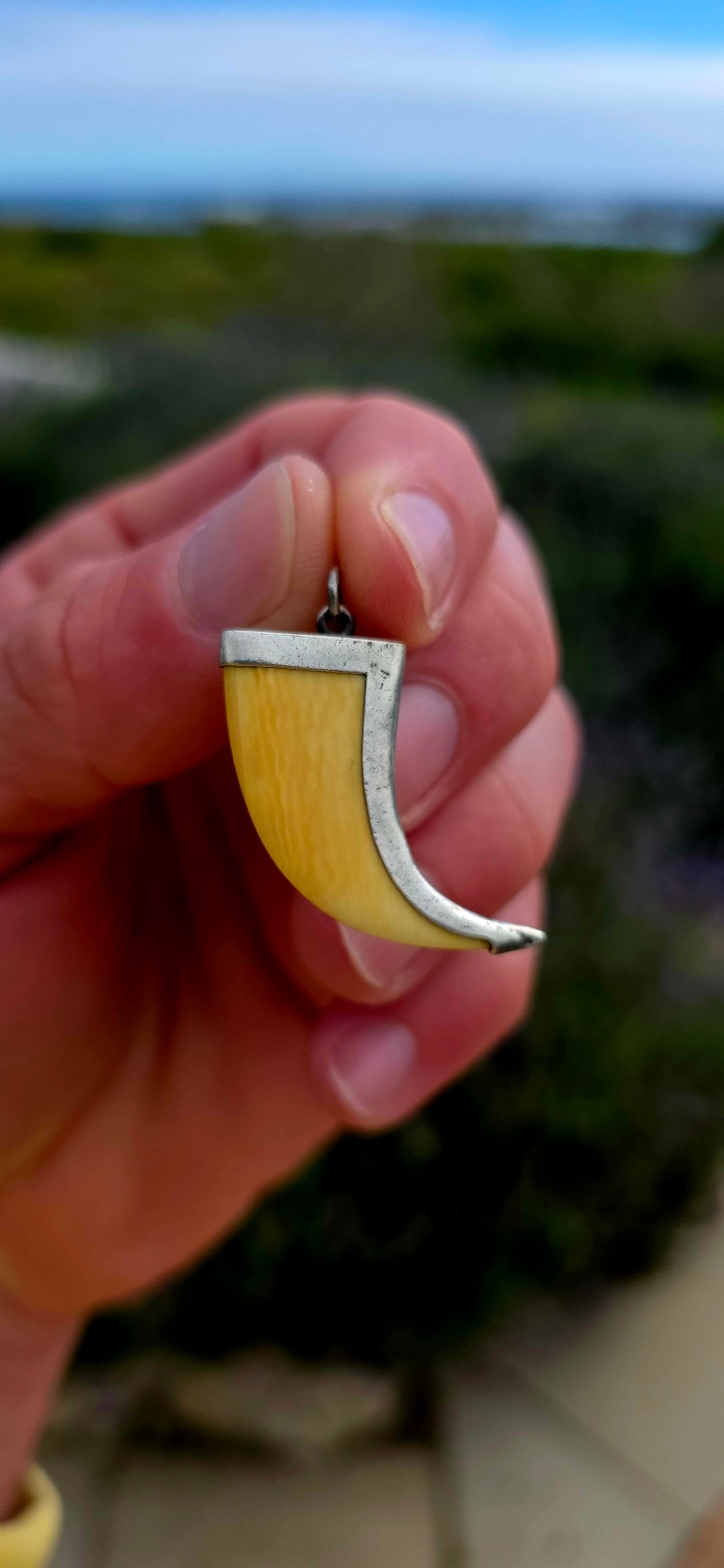 Bold yet beautifully understated, this vintage lion's claw pendant is crafted from sterling silver and fitted with a pre-ban ivory claw, creating a striking piece inspired by one of nature's most powerful predators.