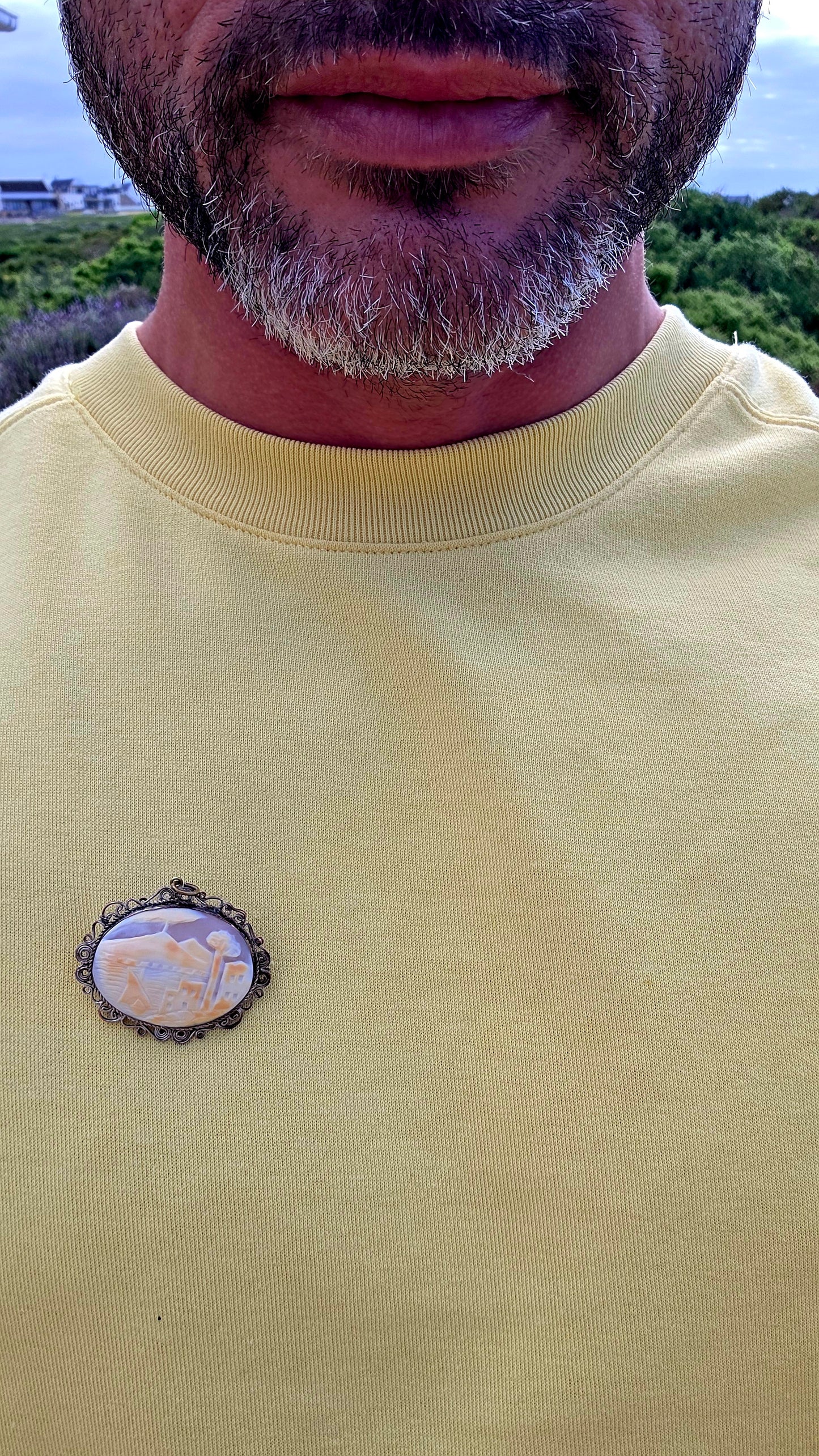 Beautifully handcrafted, this vintage silver-plated filigree cameo features a finely hand-carved conch shell depicting a tranquil coastal village scene.