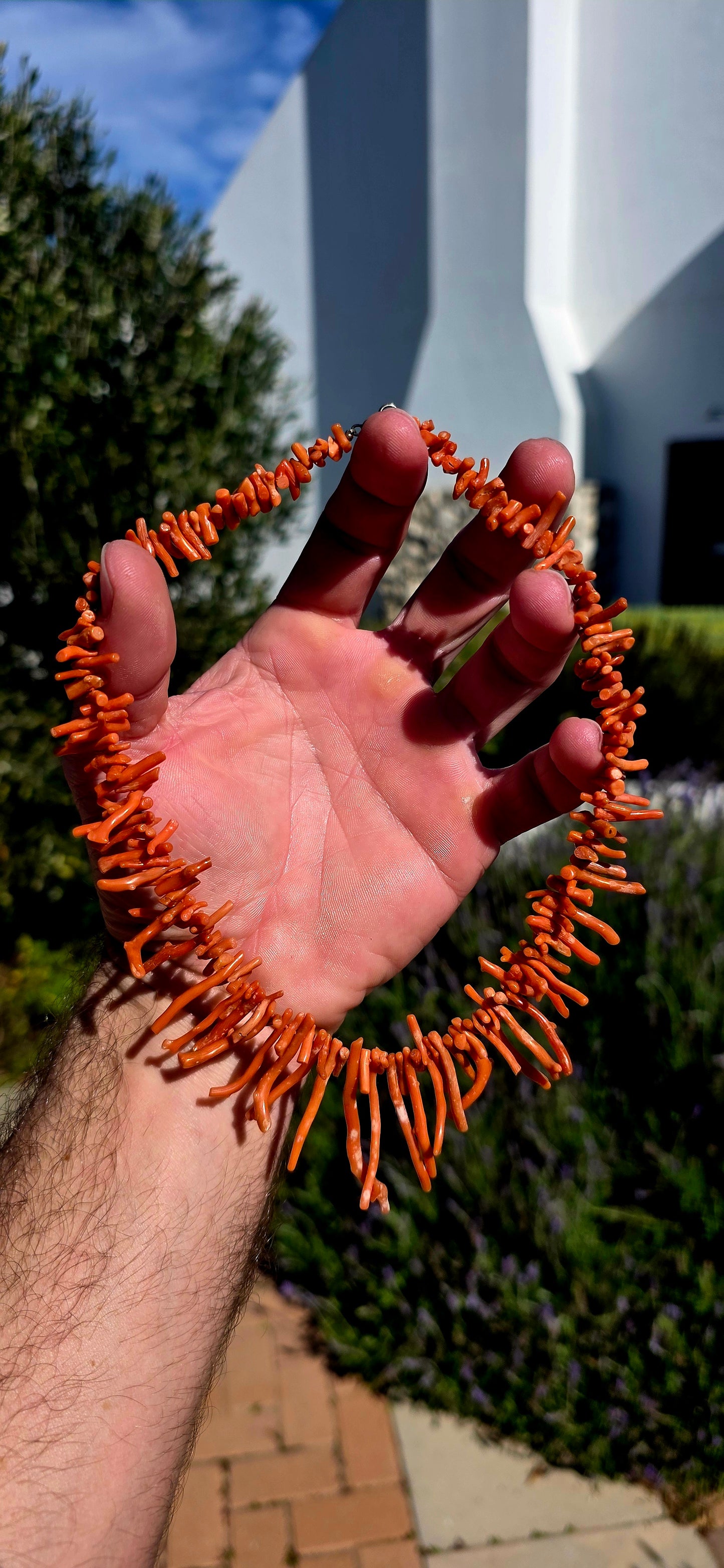 This antique Italian branch coral necklace showcases a rich display of natural coral branches, each one uniquely shaped by nature and carefully graduated in size to create a striking, full-bodied silhouette.