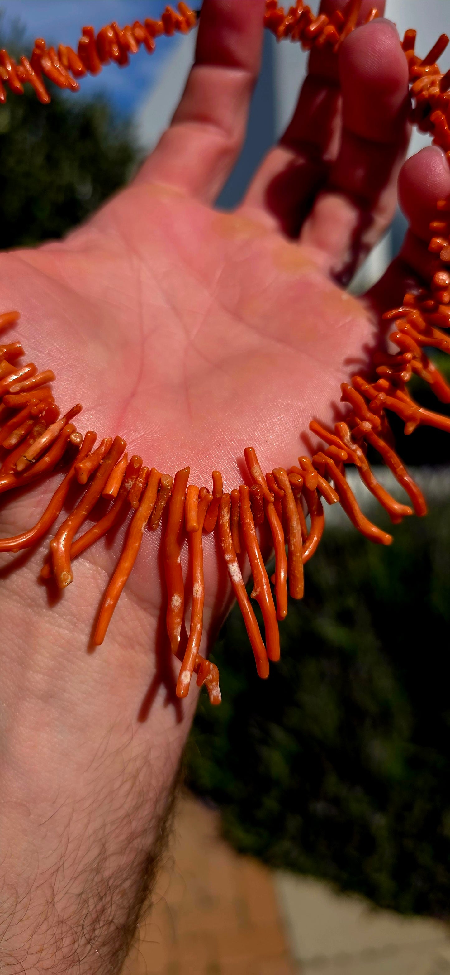This antique Italian branch coral necklace showcases a rich display of natural coral branches, each one uniquely shaped by nature and carefully graduated in size to create a striking, full-bodied silhouette.